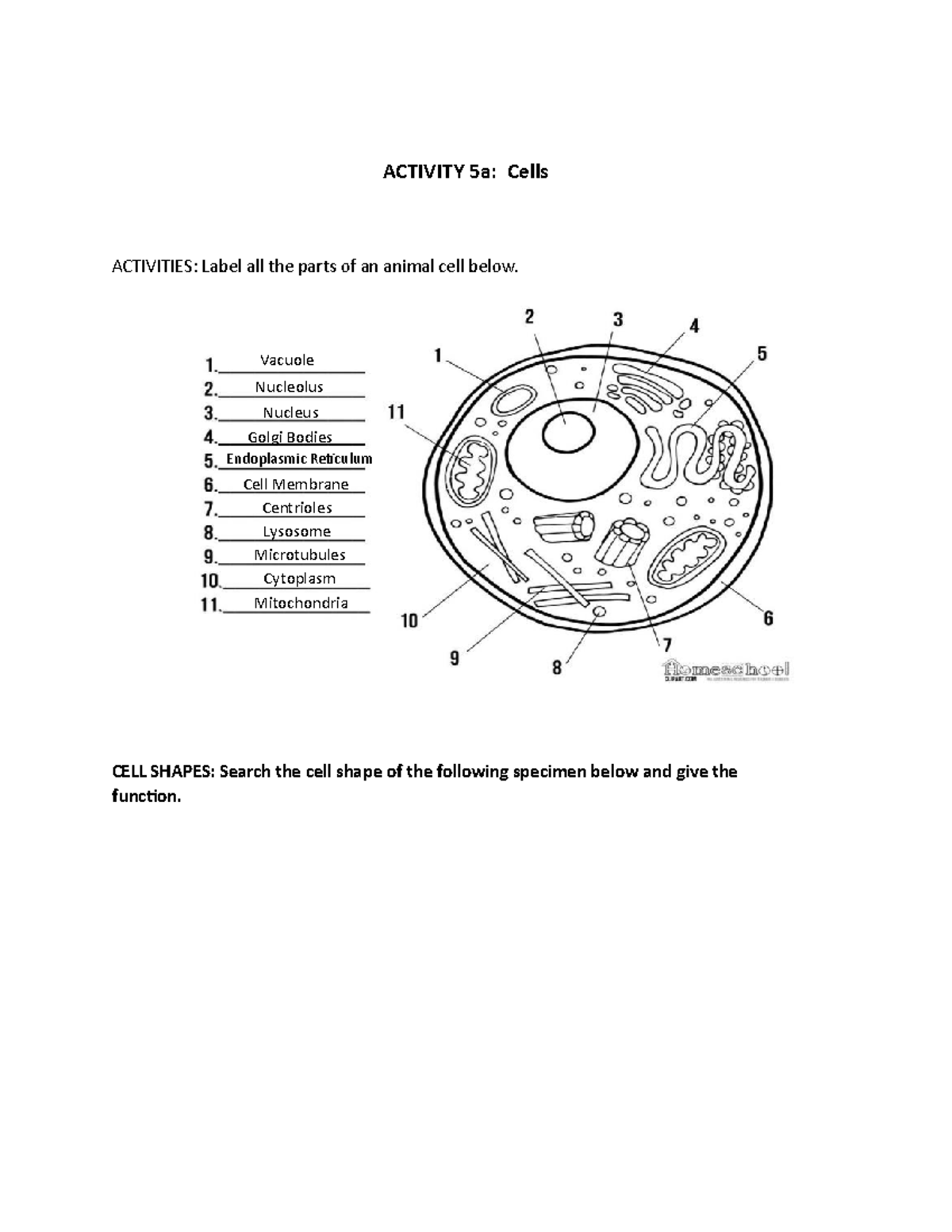 acitivity-about-cells-activity-5a-cells-activities-label-all-the