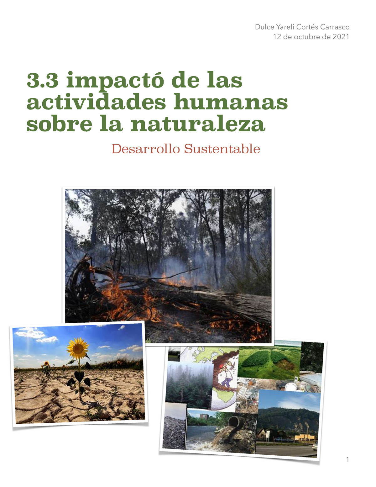 33 Impacto De Actividades Humanas Sobre La Naturaleza 12 De Octubre De 2021 3 Impactó De Las 