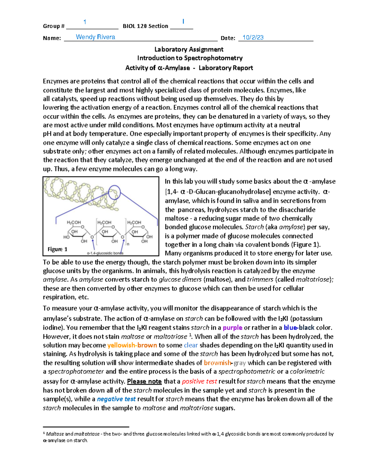 BIOL120 Lab Assignment Spectrophotometry and Activity of αAmylase