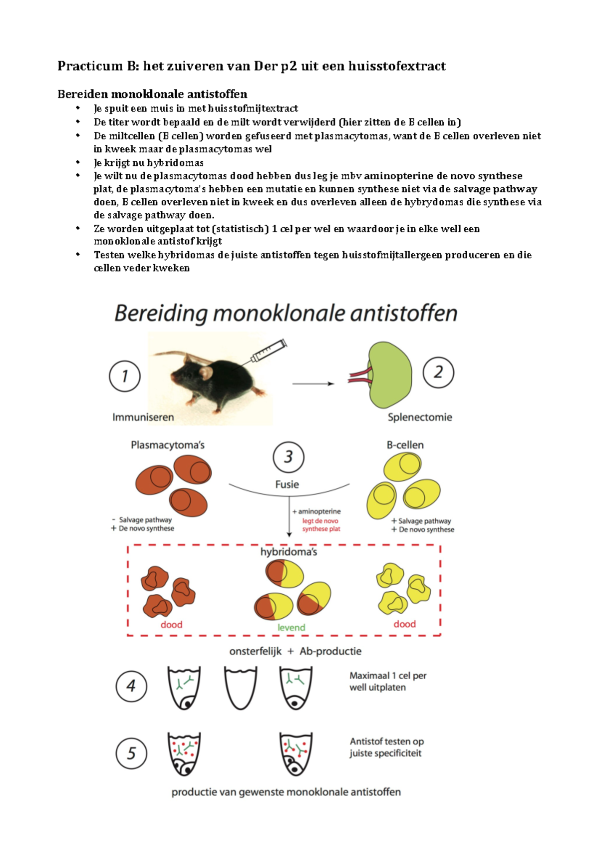 Toets Practicum B - Practicum B: Het Zuiveren Van Der P2 Uit Een ...