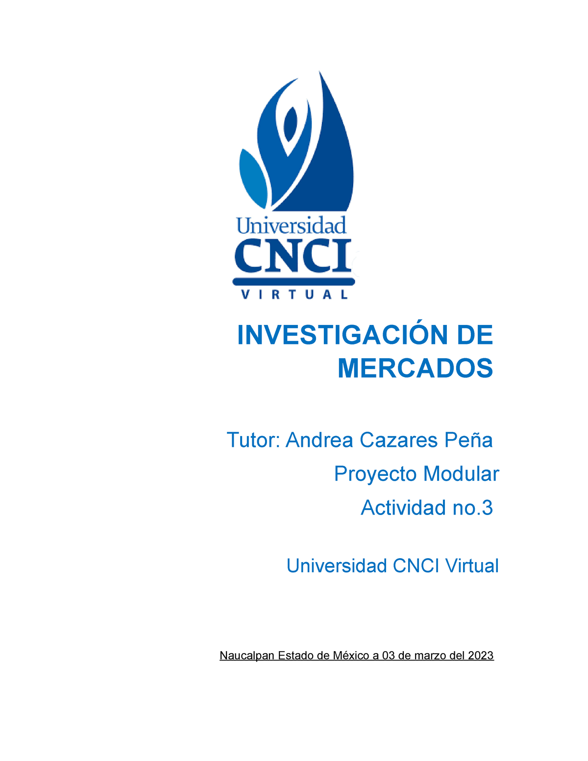 Investigación DE Mercados Proyecto Integrador ACT - INVESTIGACIÓN DE ...