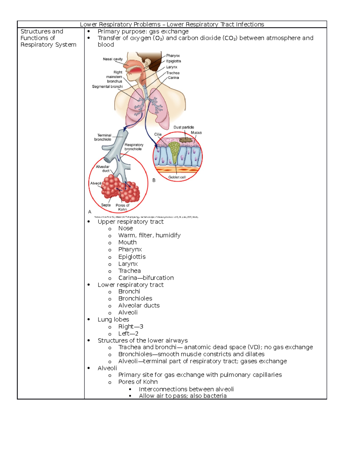 Pneumonia and Atelectasis - Lower Respiratory Problems – Lower ...