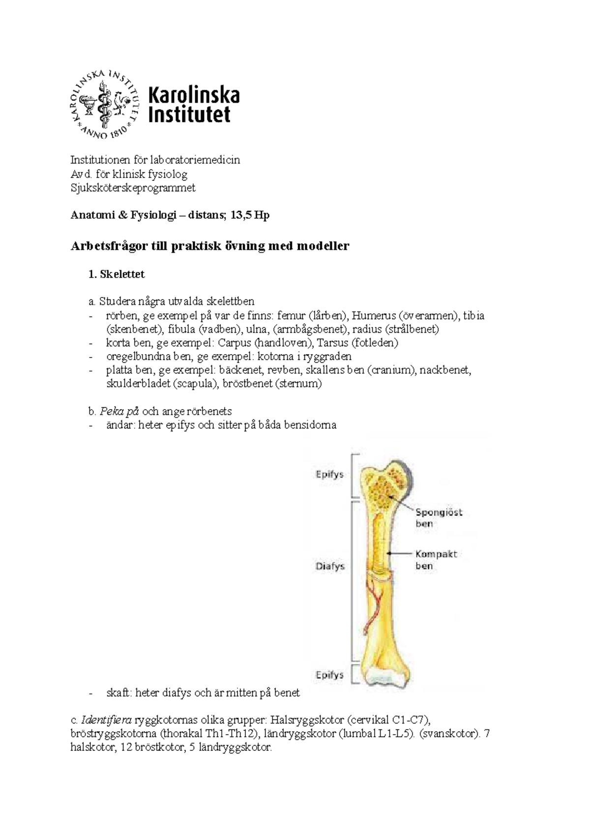 Arbete Med Anatomiska Modeller - Institutionen För Laboratoriemedicin ...