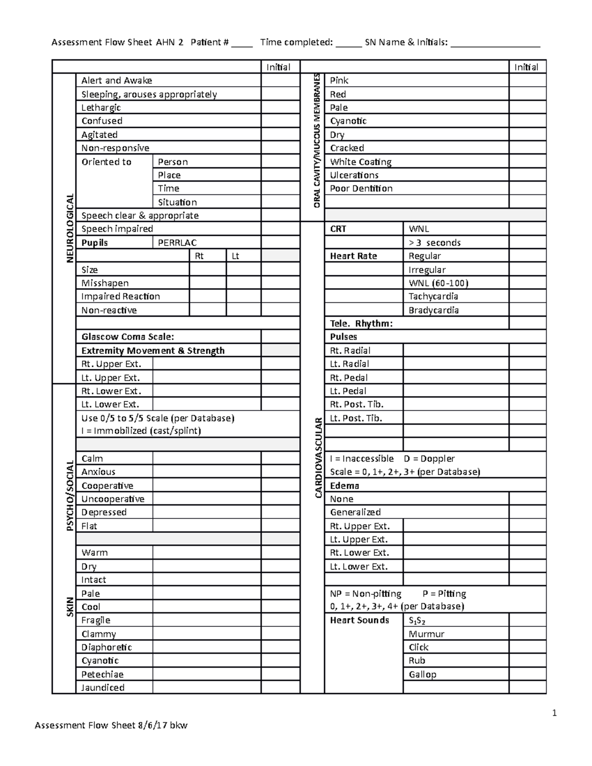 Ahn 448 Assessment Sheet - Assessment Flow Sheet Ahn 2 Patient 