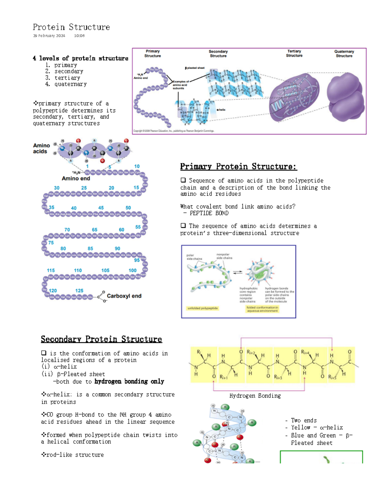 BC1001 Protein Structure 4 levels of protein structure 1. primary 2
