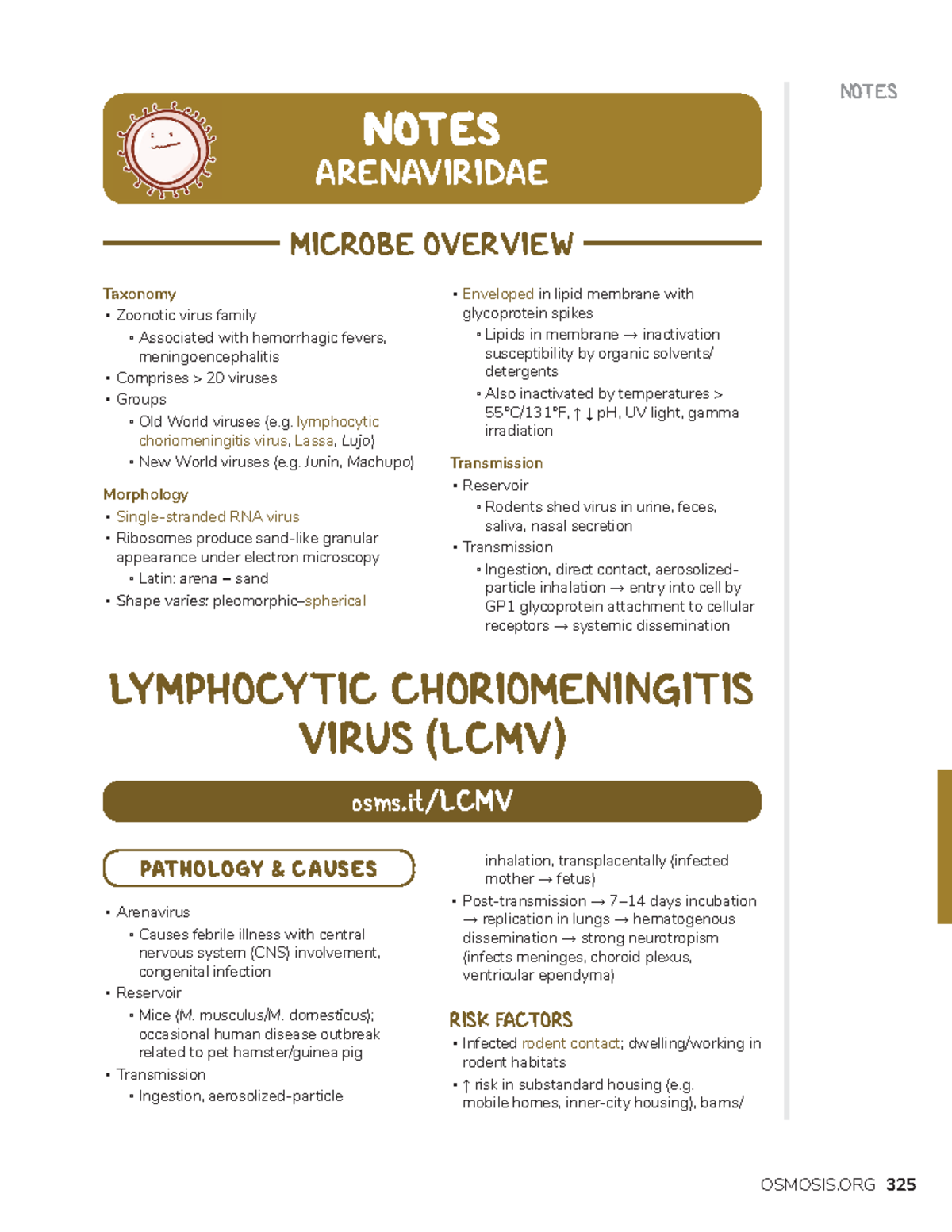 Arenaviruses - microbiology of organisms - OSMOSIS NOTES Taxonomy ...