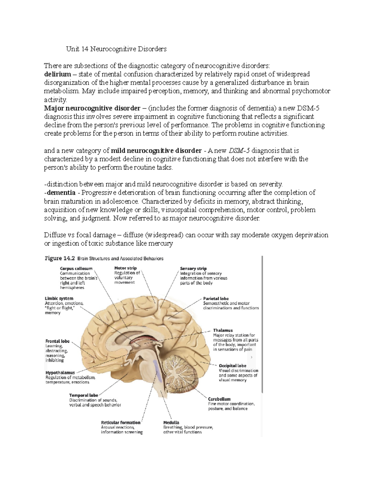 Unit 14 Neurocognitive Disorders - Unit 14 Neurocognitive Disorders ...