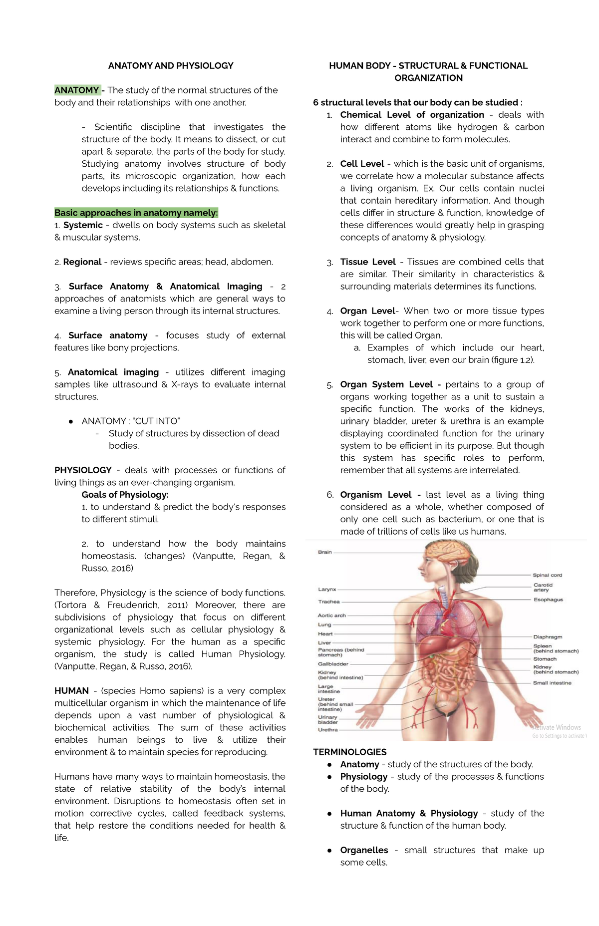 Anatomy AND Physiology - ANATOMY AND PHYSIOLOGY ANATOMY- The study of ...