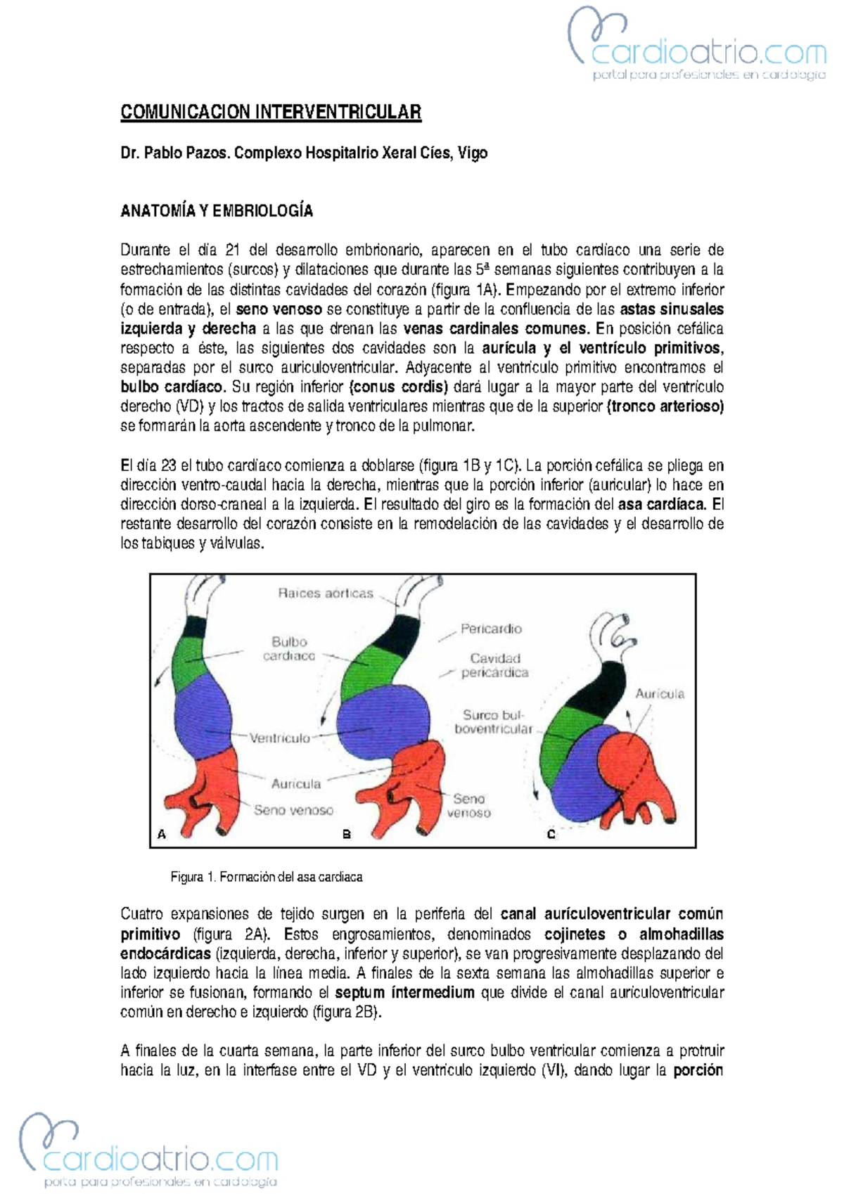 Comunicacion Interventricular Comunicacion Interventricular Dr Pablo