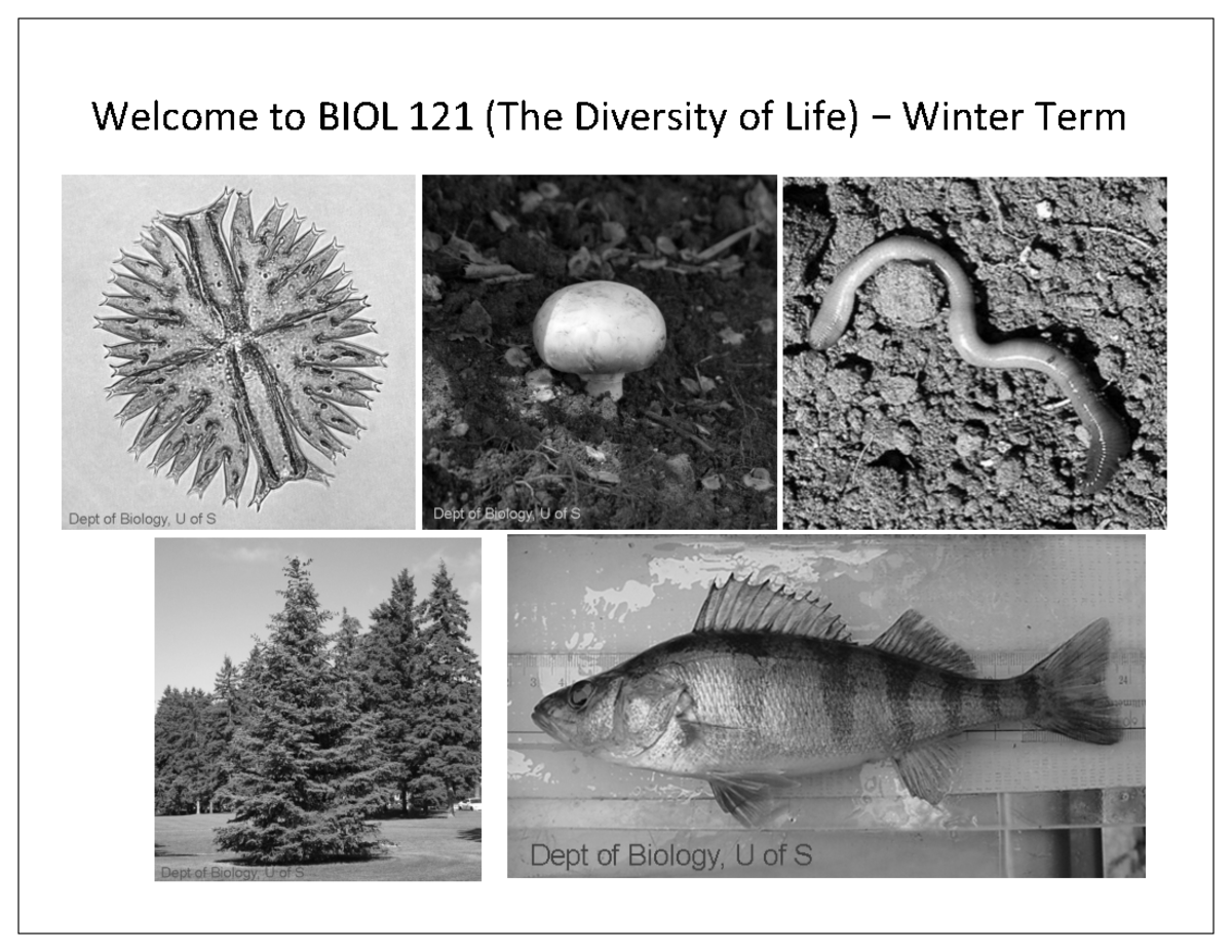 course-introduction-notes-winter-term-welcome-to-biol-121-the-diversity-of-life-winter