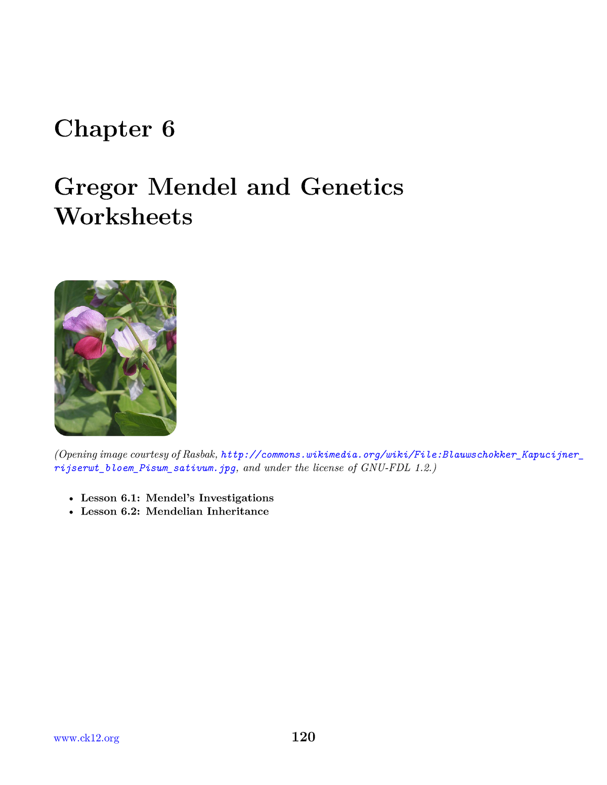 mendel-questions-chapter-6-gregor-mendel-and-genetics-worksheets-opening-image-courtesy-of