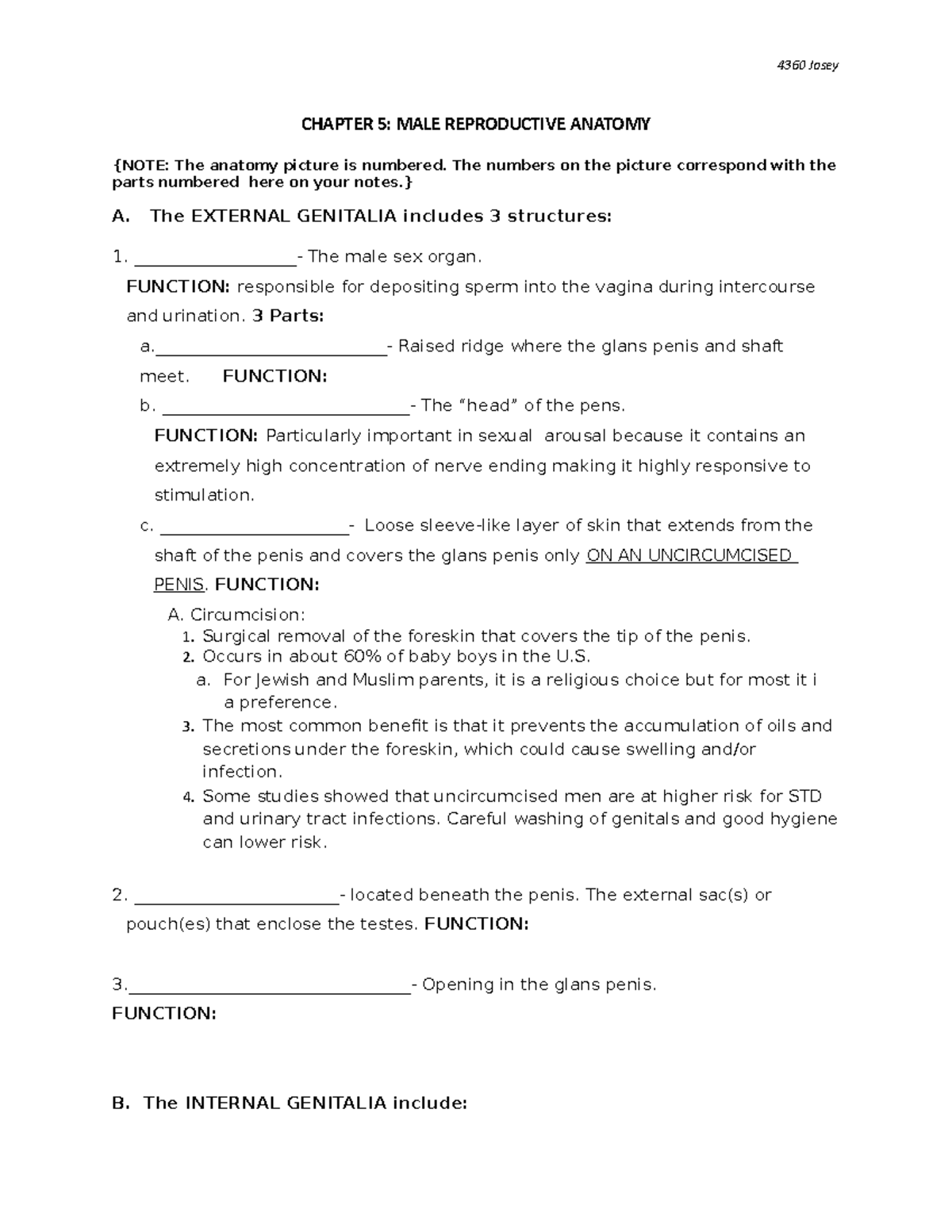 Chapter 5-outline-male anatomy - CHAPTER 5: MALE REPRODUCTIVE ANATOMY ...