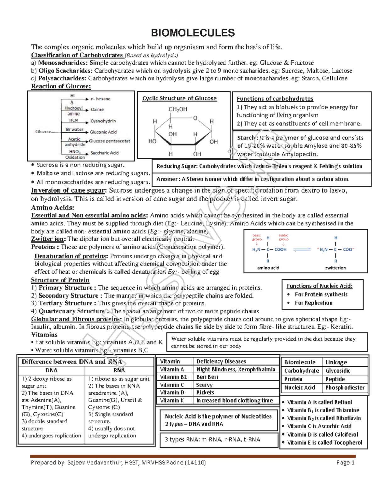 Hsslivexiichemistrych14 Biomolecules by Sajeev Studocu