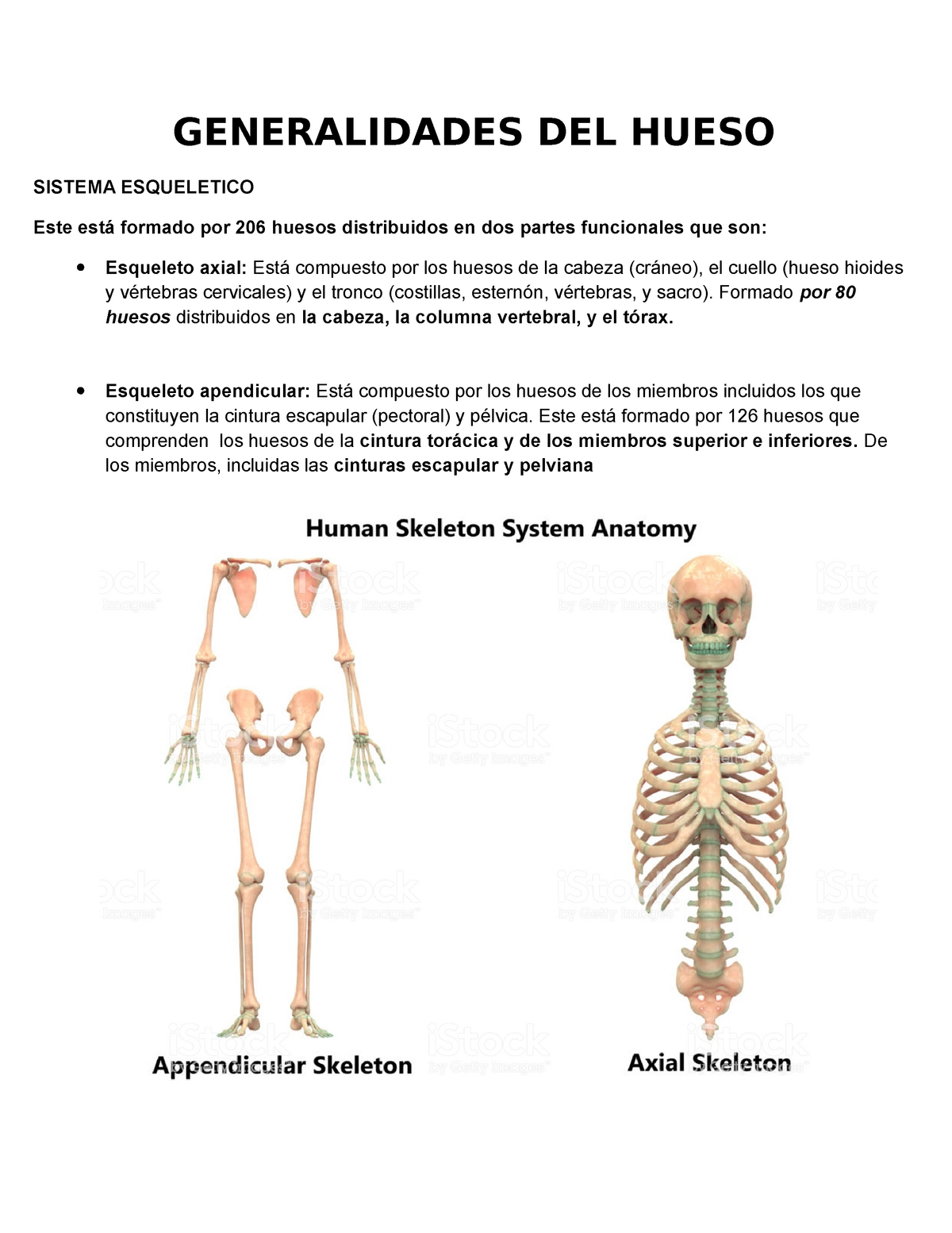Trabajo de anatomia Generalidades de huesos, huesos del