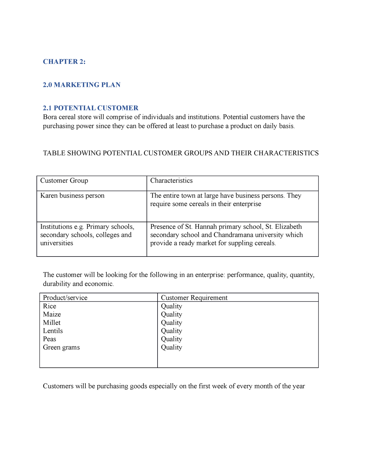 business plan chapter 2 example