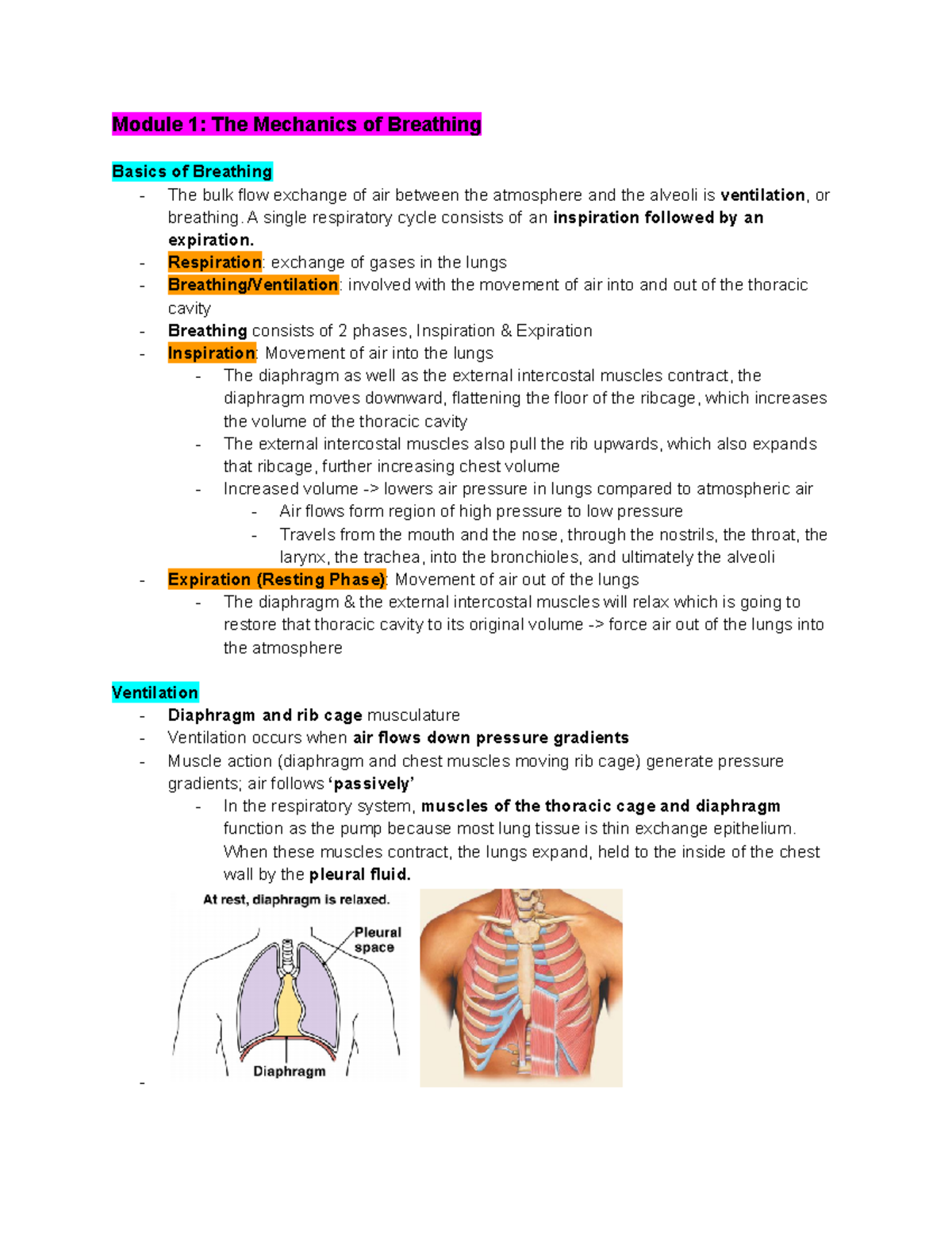 Lec. 6 Pulmonary Physiology Part 2 (BIOL 171B) - Module 1: The ...