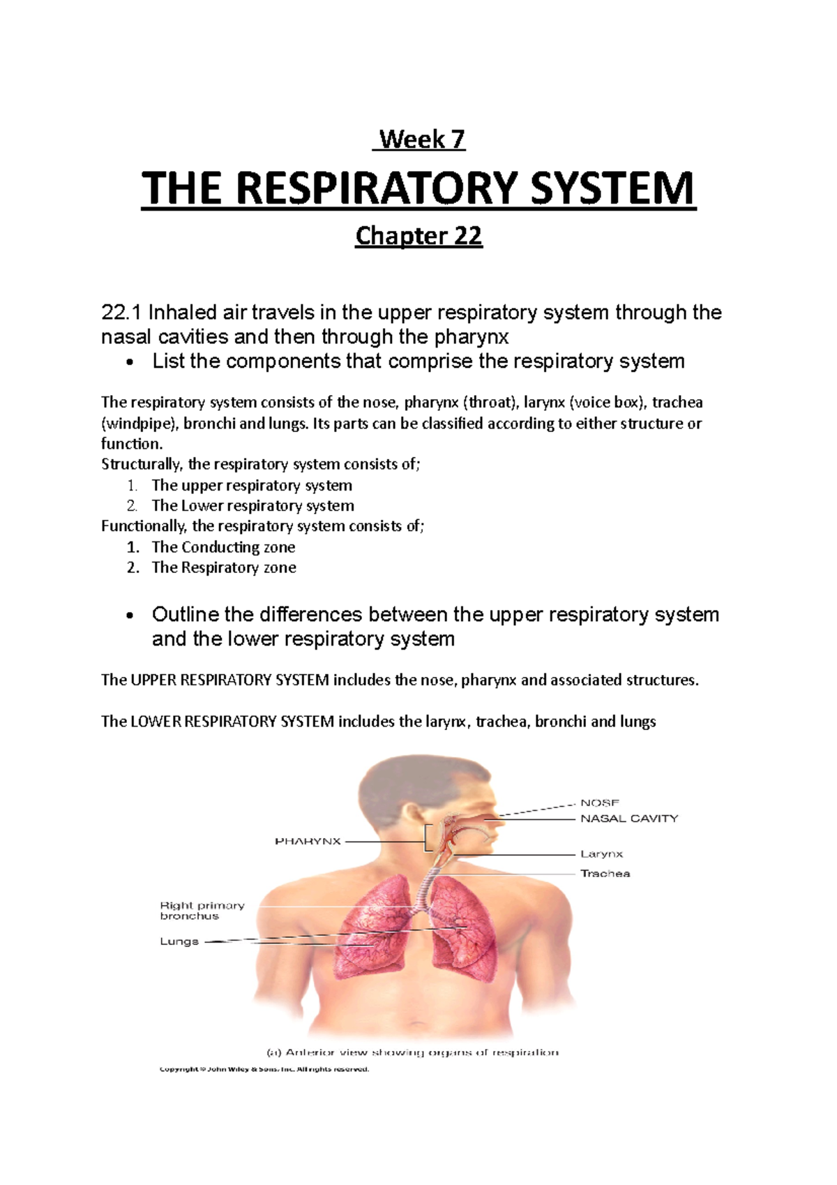 Week 7 - THE RESPIRATORY SYSTEM - Week 7 THE RESPIRATORY SYSTEM Chapter ...