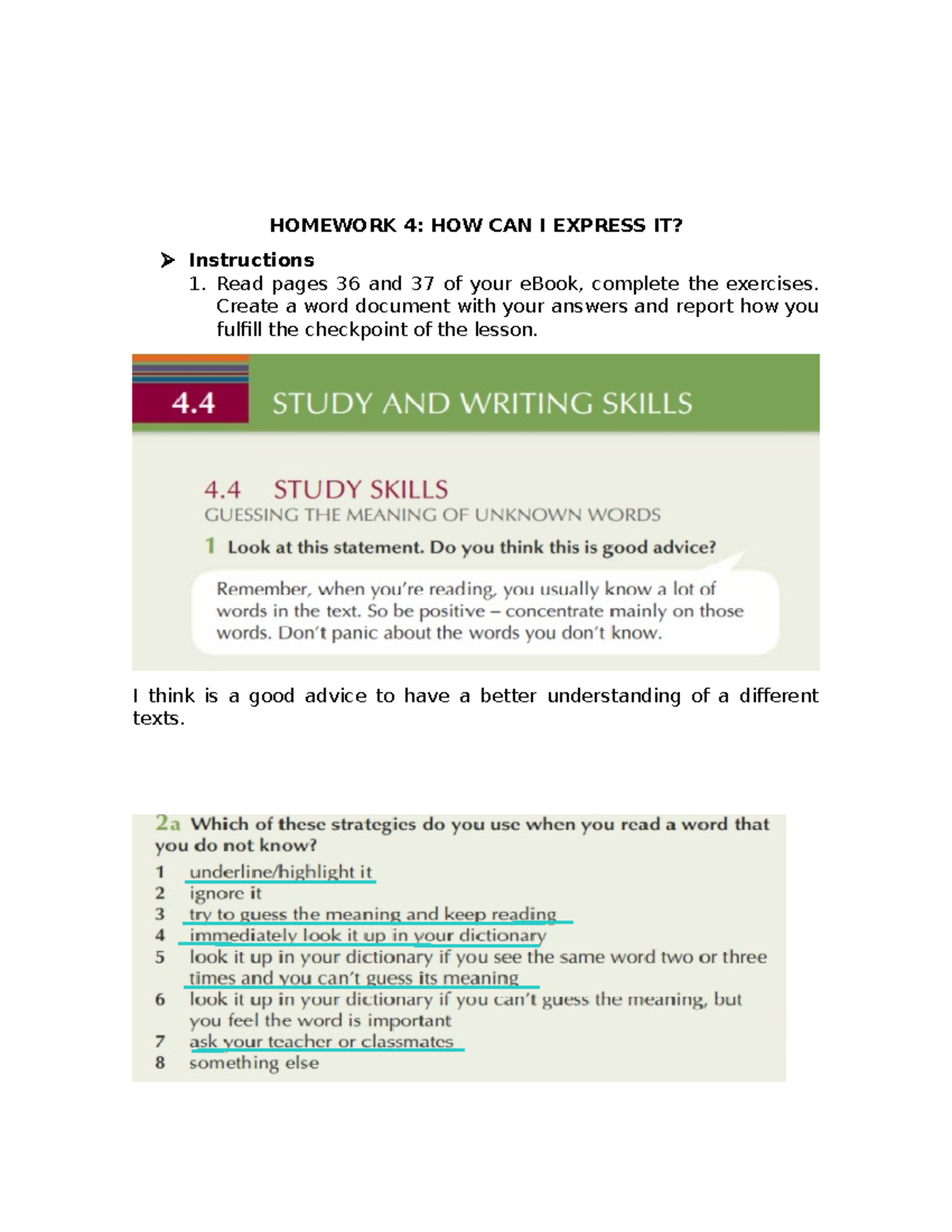 Homework 4 Basic English - HOMEWORK 4: HOW CAN I EXPRESS IT ...