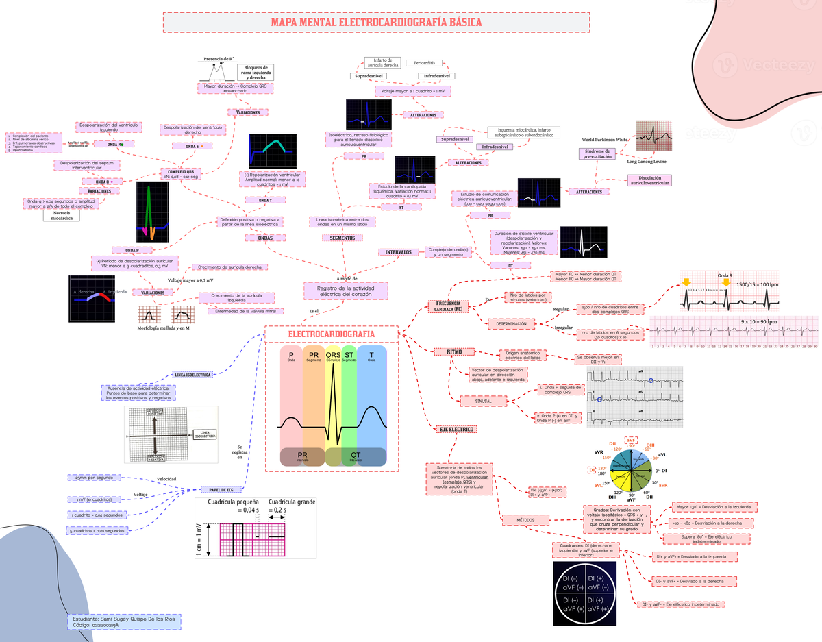 Mapa Mental Y Registro De La Actividad El Ctrica Del Coraz N