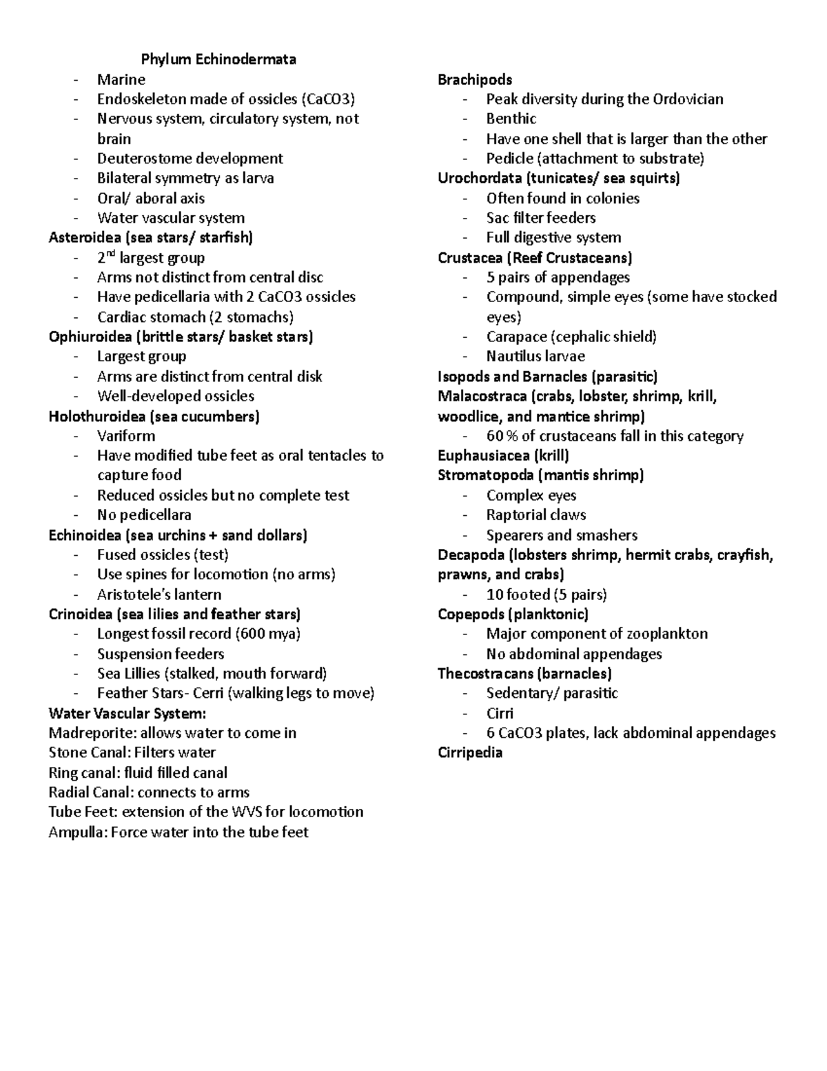Marine Biology Exam 3 Study Guide Phylum Echinodermata Marine