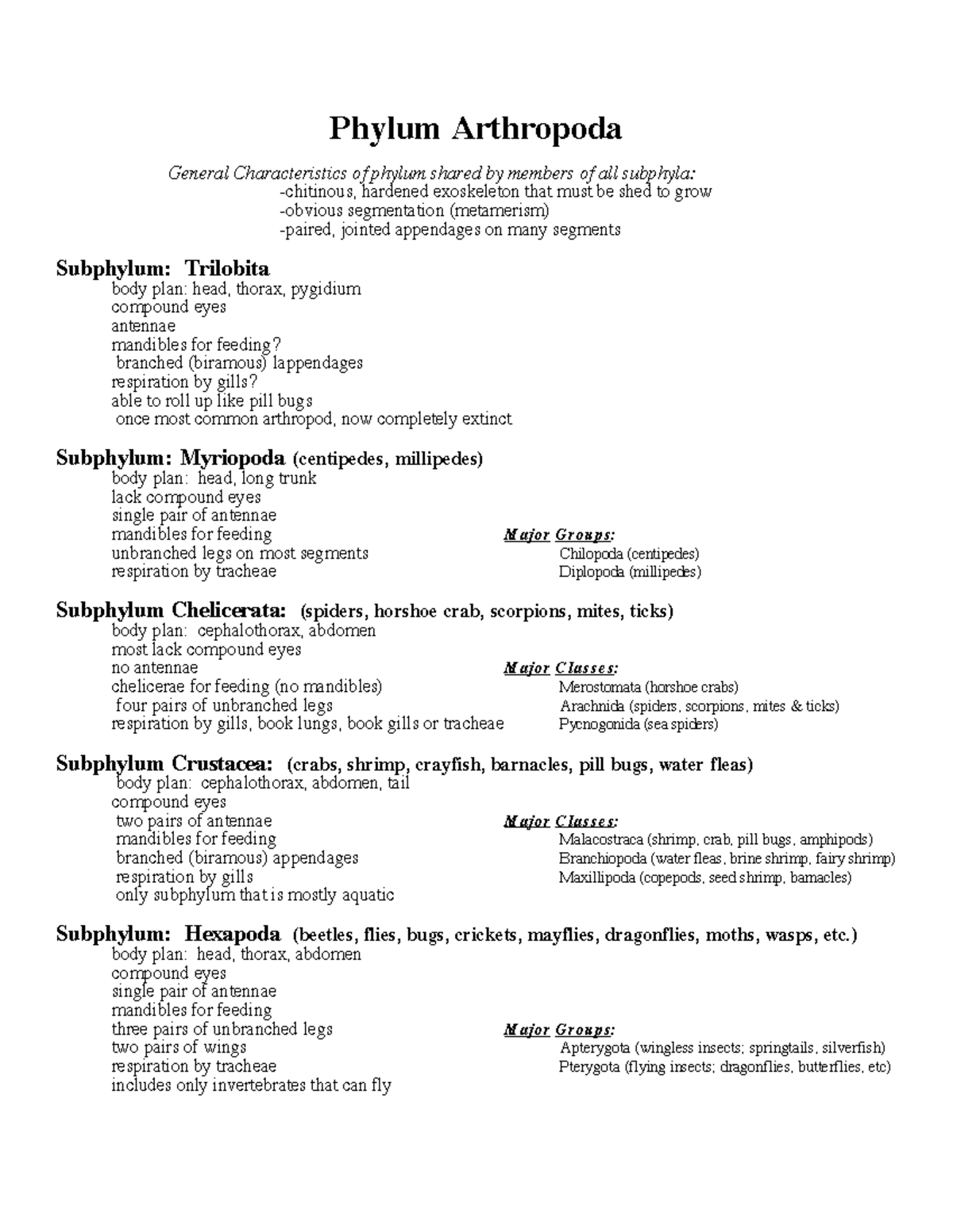 Arthropod Subphyla - Outline summary - Phylum Arthropoda General ...