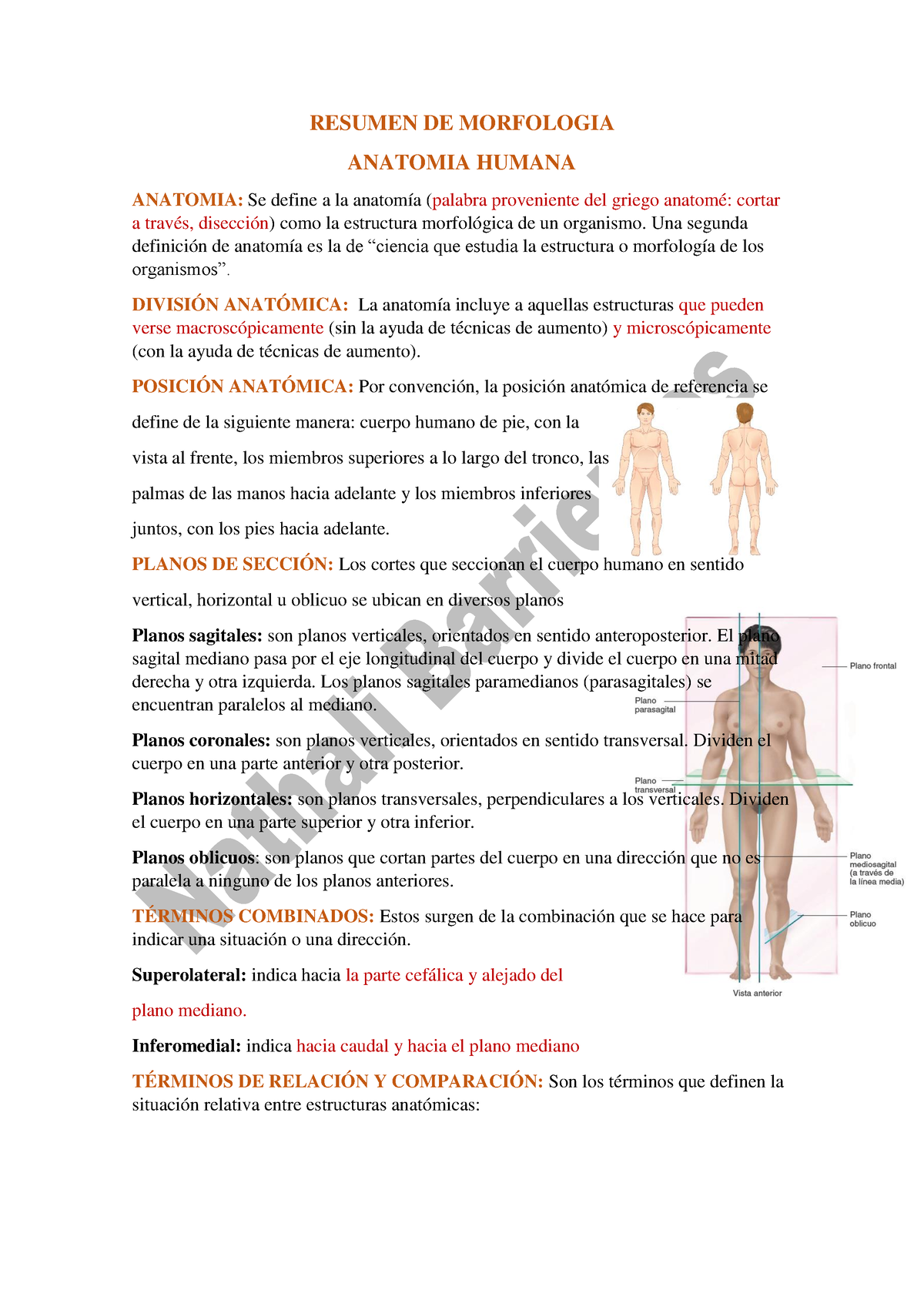 Resumen DE Morfologia M-0-A - RESUMEN DE MORFOLOGIA ANATOMIA HUMANA ...