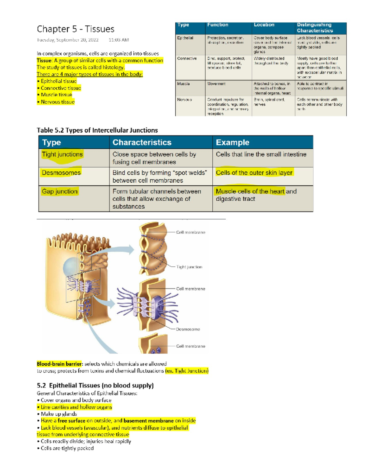 APHY 101 (Ivy Tech) - Chapter 5 ...