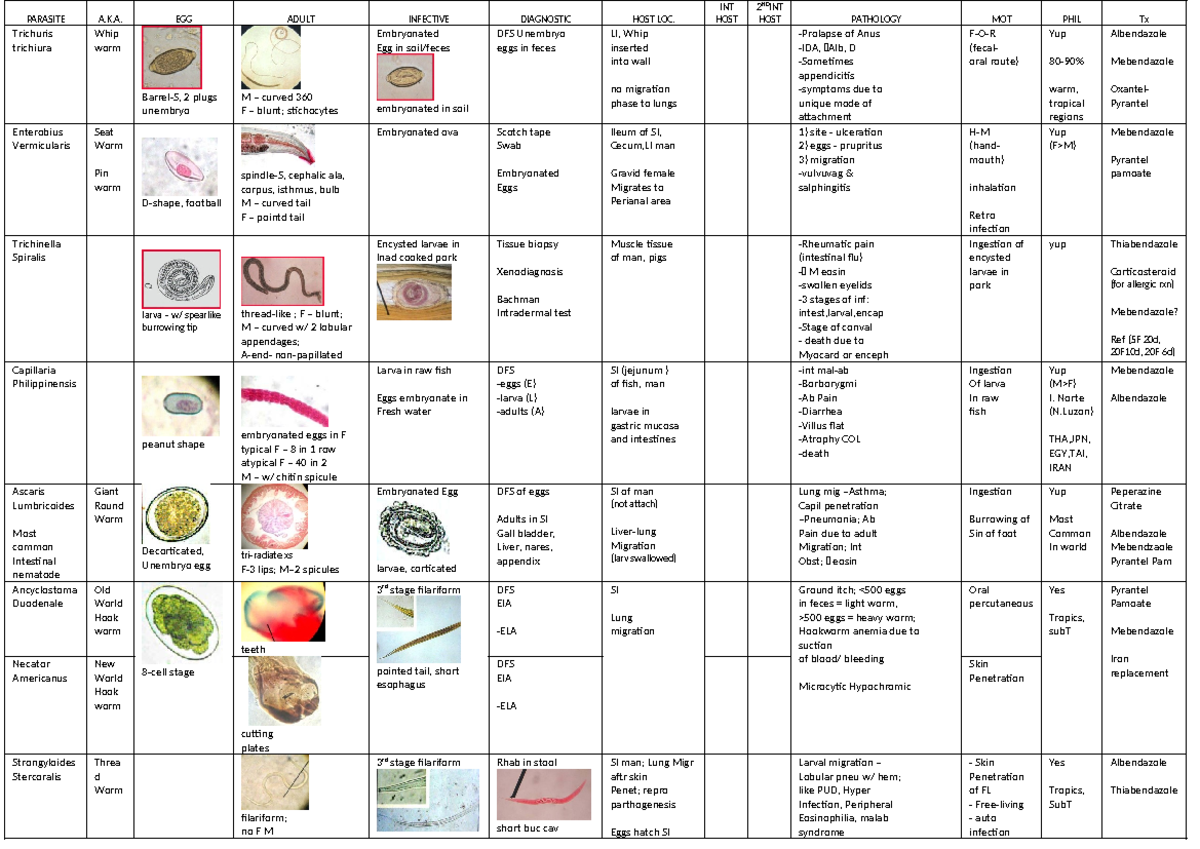 48348344-Parasitology-Tables - PARASITE A.K. EGG ADULT INFECTIVE ...