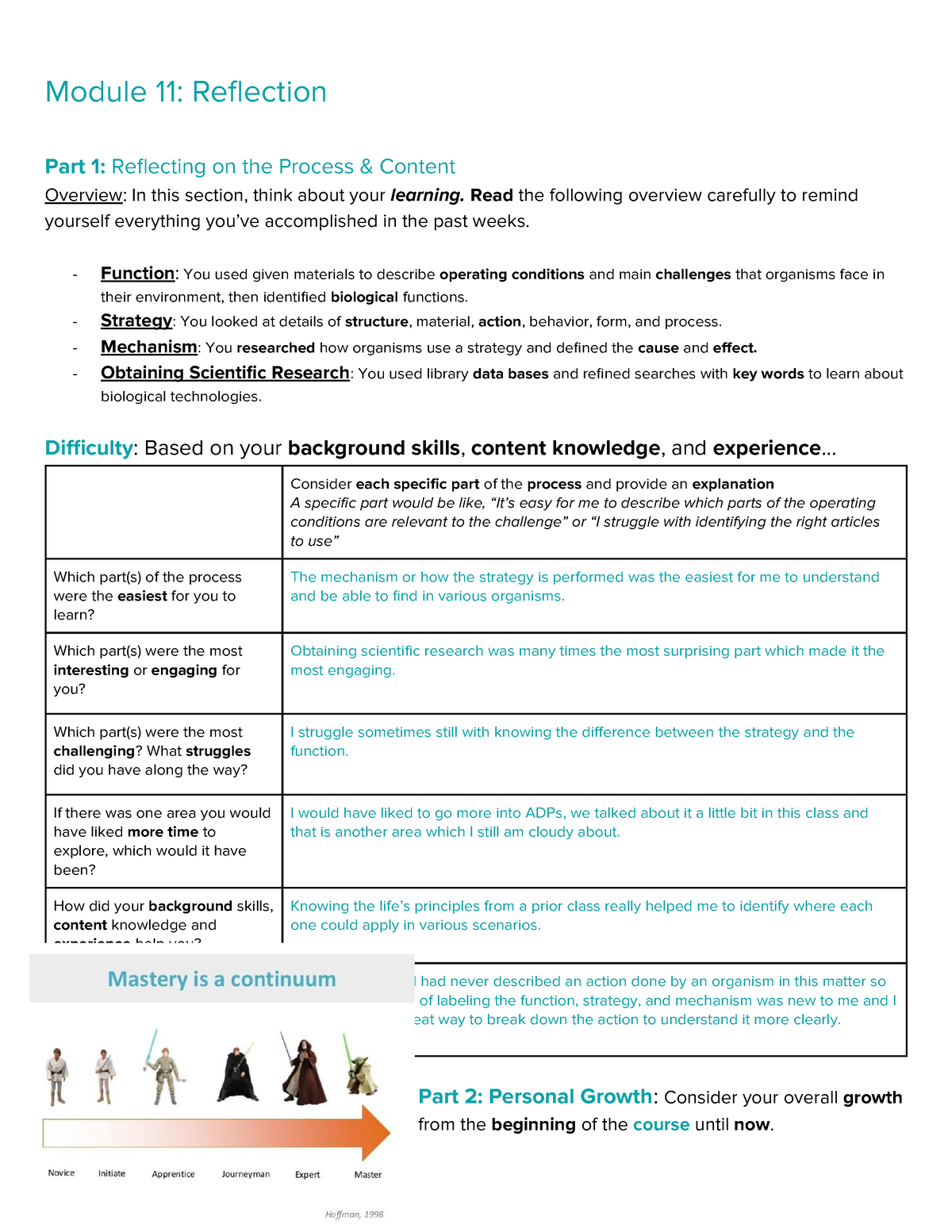 Reflection - Module 11: Reflection Part 1: Reflecting on the Process ...