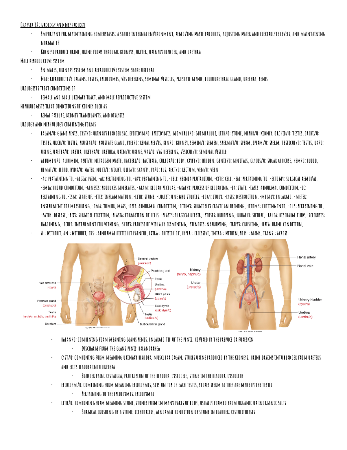 Med Term Ch 12 chapter 12 MEDICAL TERMINOLOGY Chapter 12