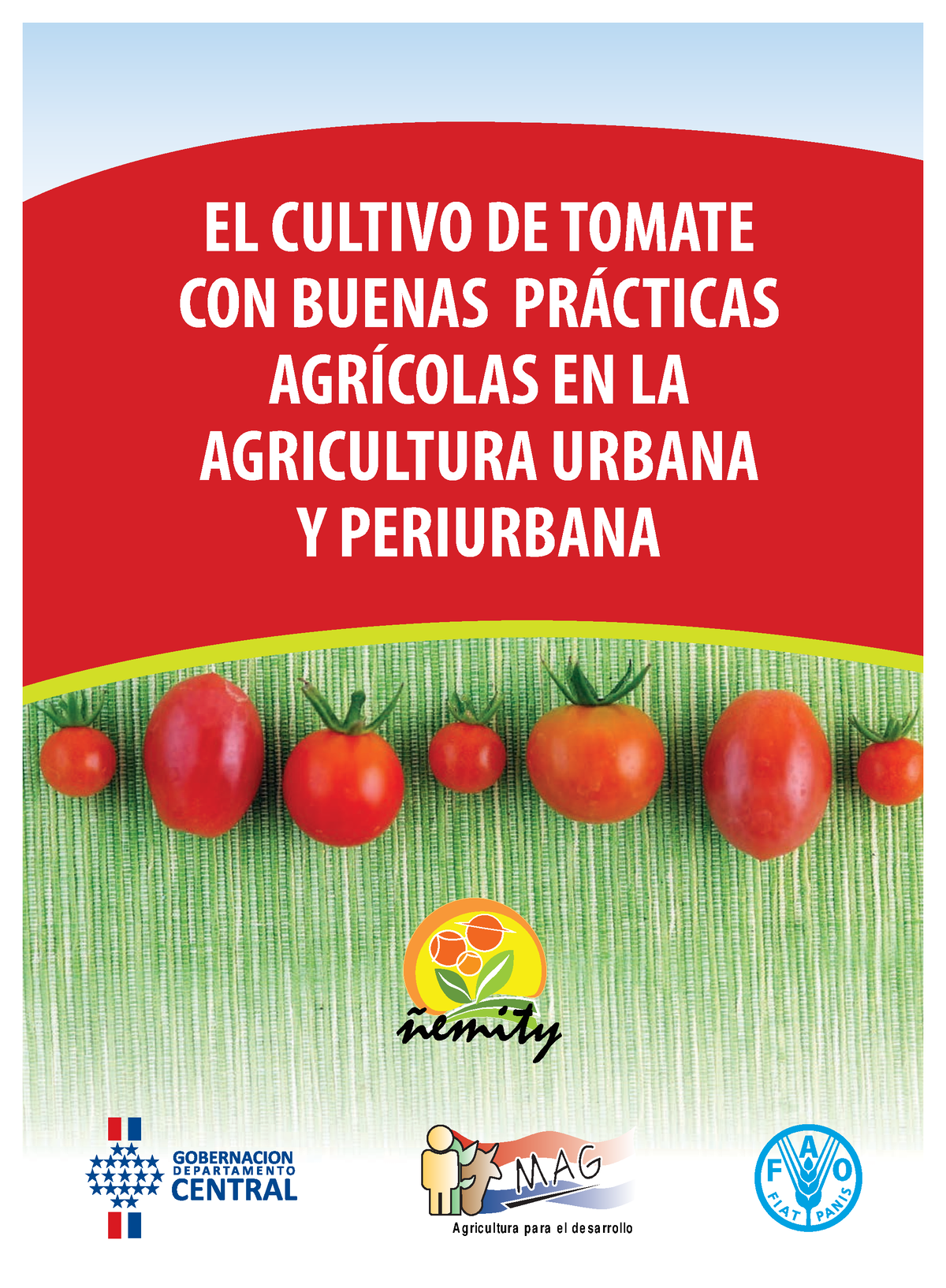 BP Tomate - EL CULTIVO DE TOMATE CON BUENAS PRÁCTICAS AGRÍCOLAS EN LA ...