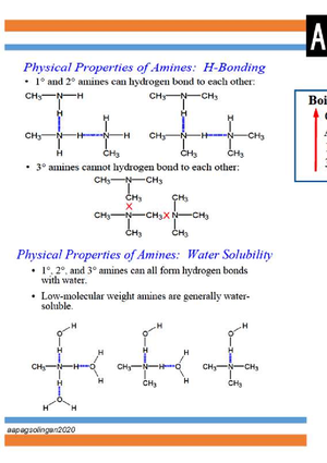 Organic Chemistry II - Chemical Properties Carboxylic acids are weak in ...