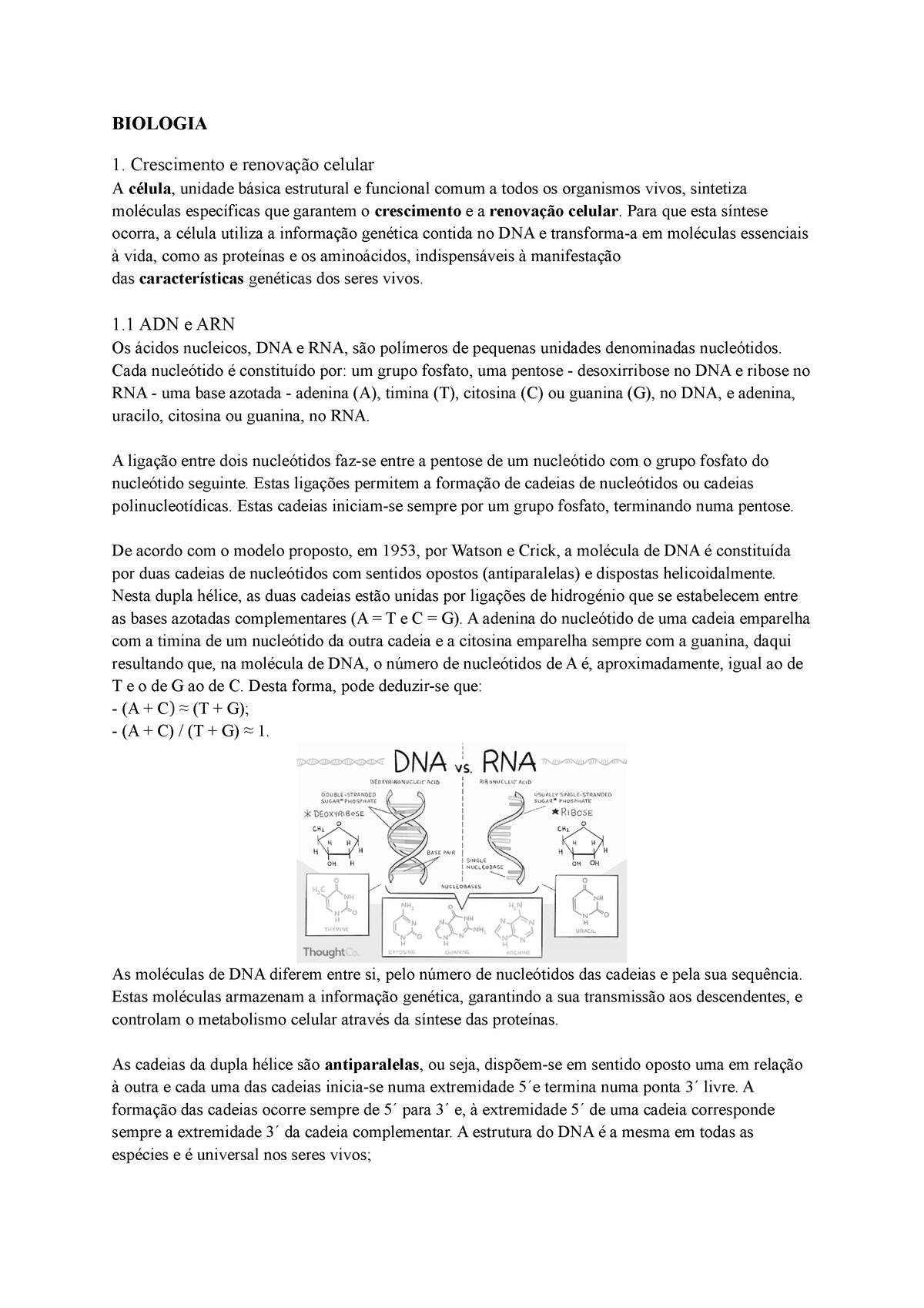 Biologia 11º Resumo Bio 11º Biologia 1 Crescimento E Renovação Celular A Célula Unidade 6516