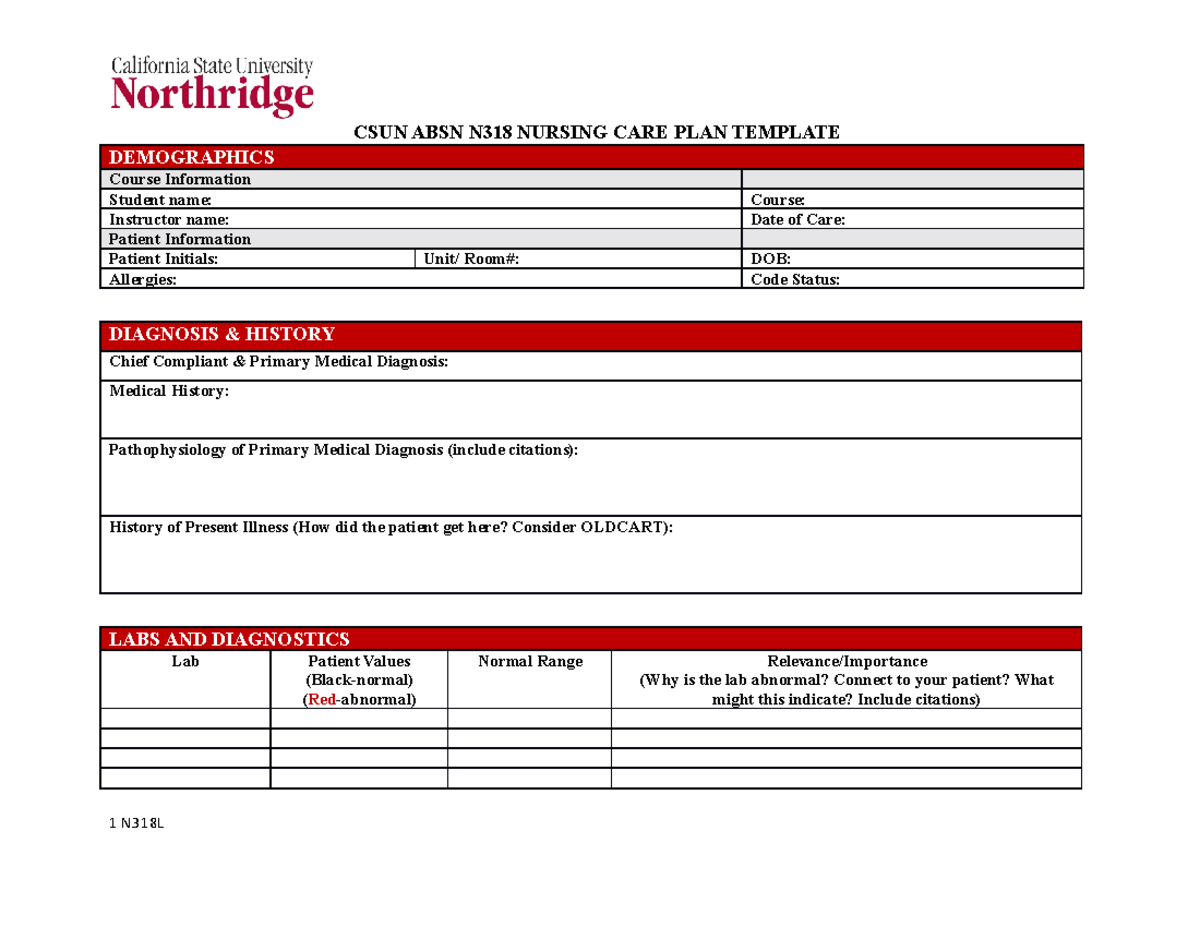 N318+Nursing+Care+Plan+Template+ Clinical+ Judgement+ Model+ - CSUN ...