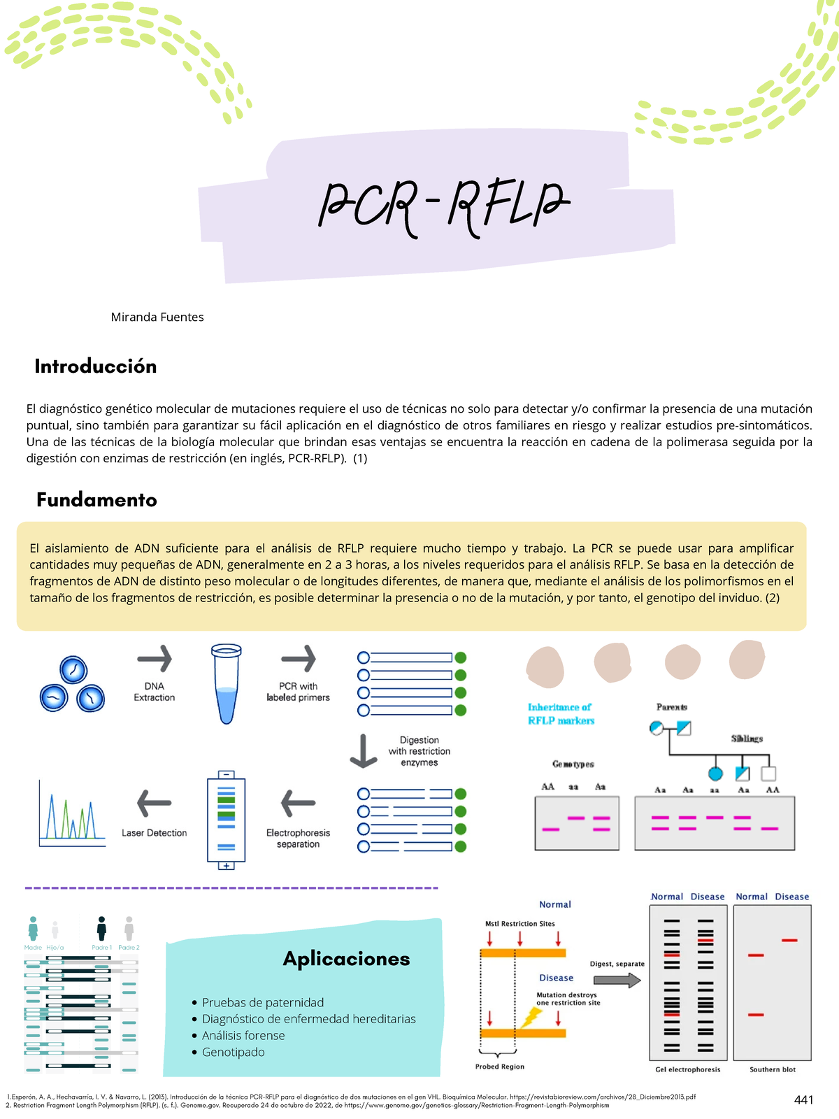 PCR-RFLP - Trabajo Sobre PCR-RFLP - El Aislamiento De ADN Suficiente ...