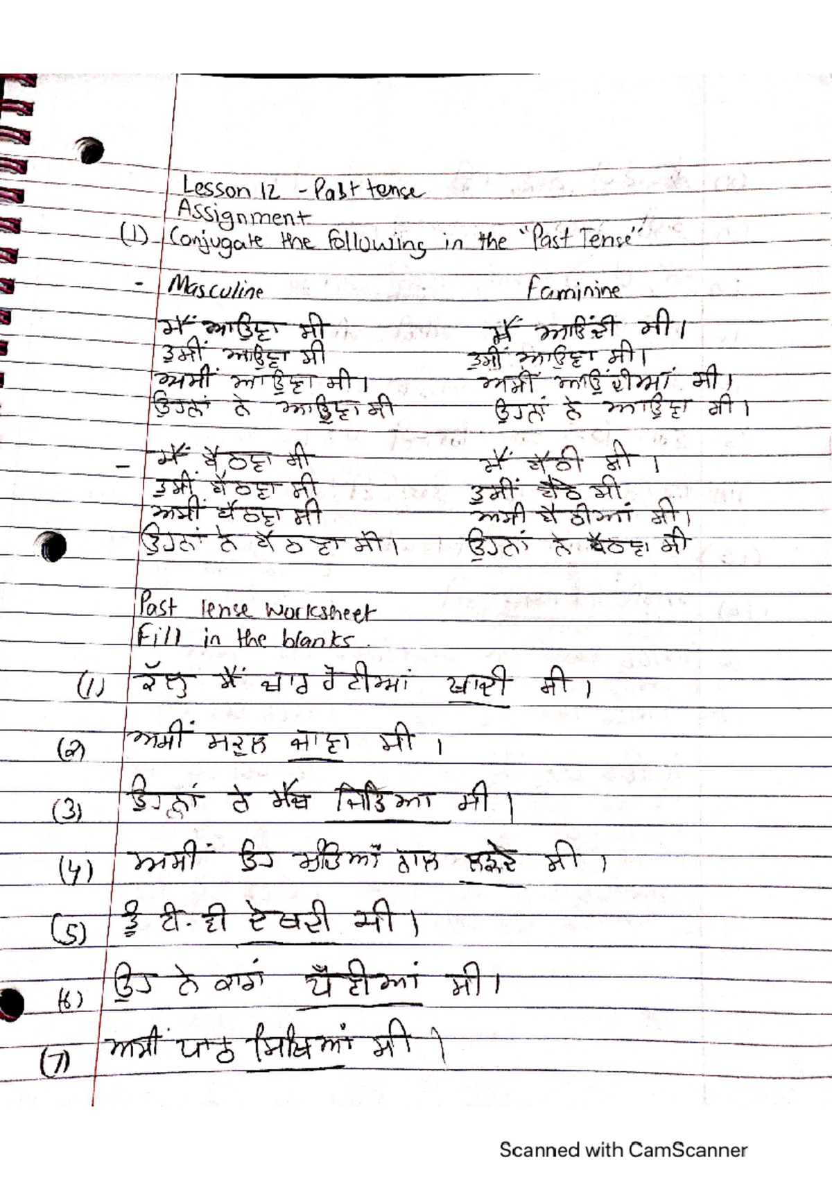 how to write holiday homework in punjabi