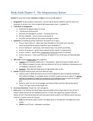 Chapter 10 Worksheet - work sheet - Chapter 10 Worksheet Fill in the ...