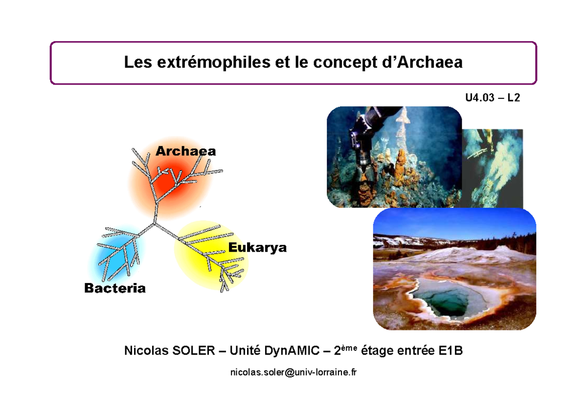 2 Les extrémophiles et le concept d'Archaea - Bacteria Eukarya Archaea ...