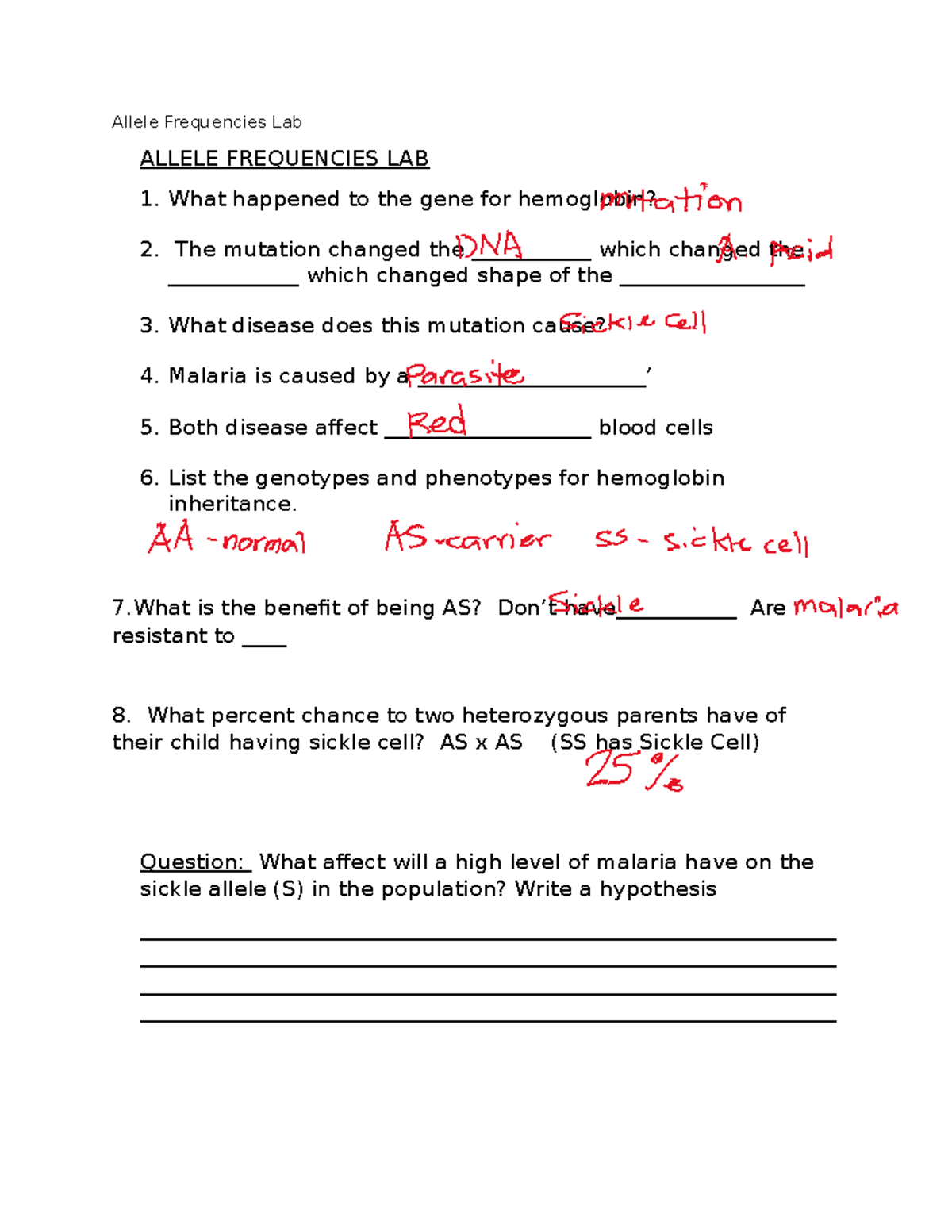 Allele+Frequencies+Lab+ - Allele Frequencies Lab ALLELE FREQUENCIES LAB ...