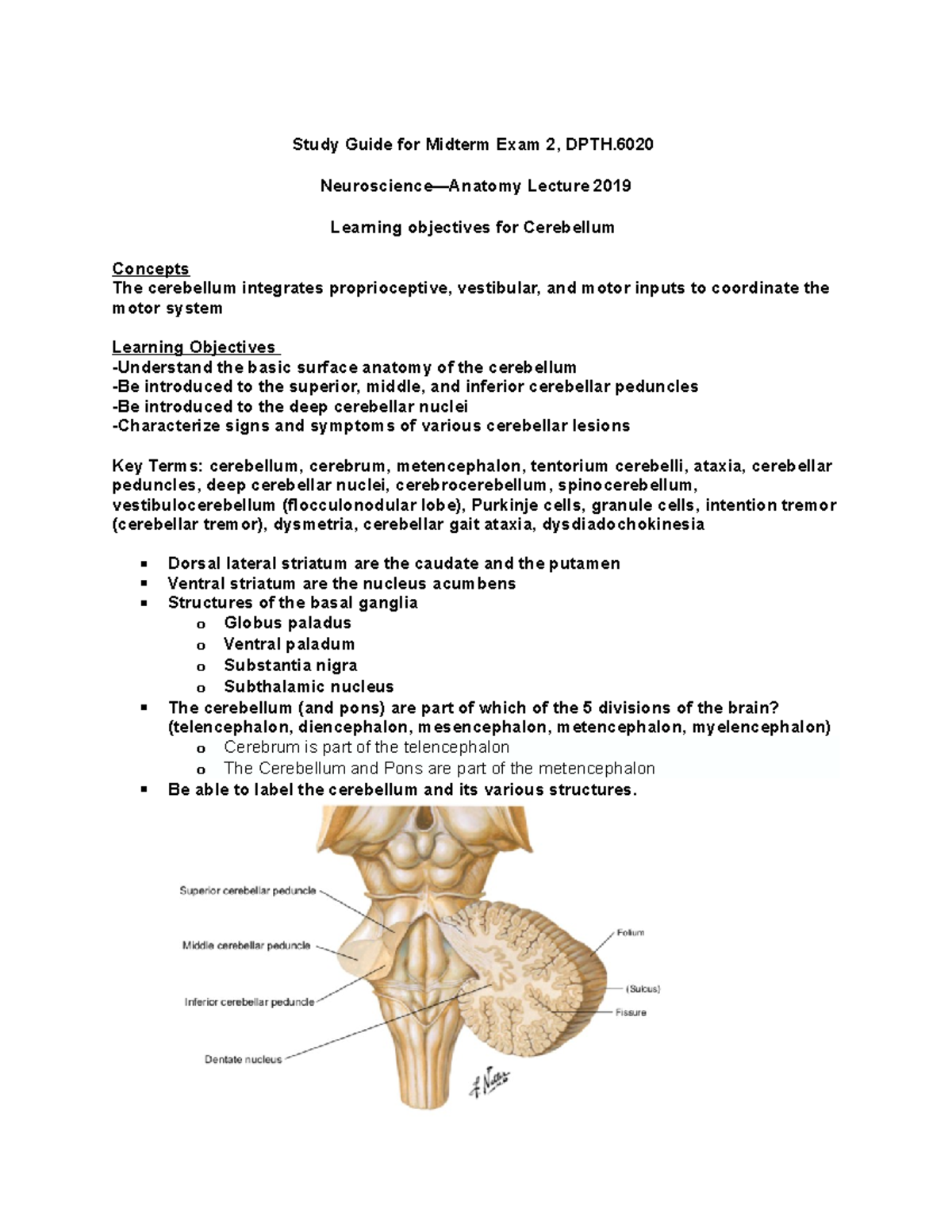 adiadochokinesia test