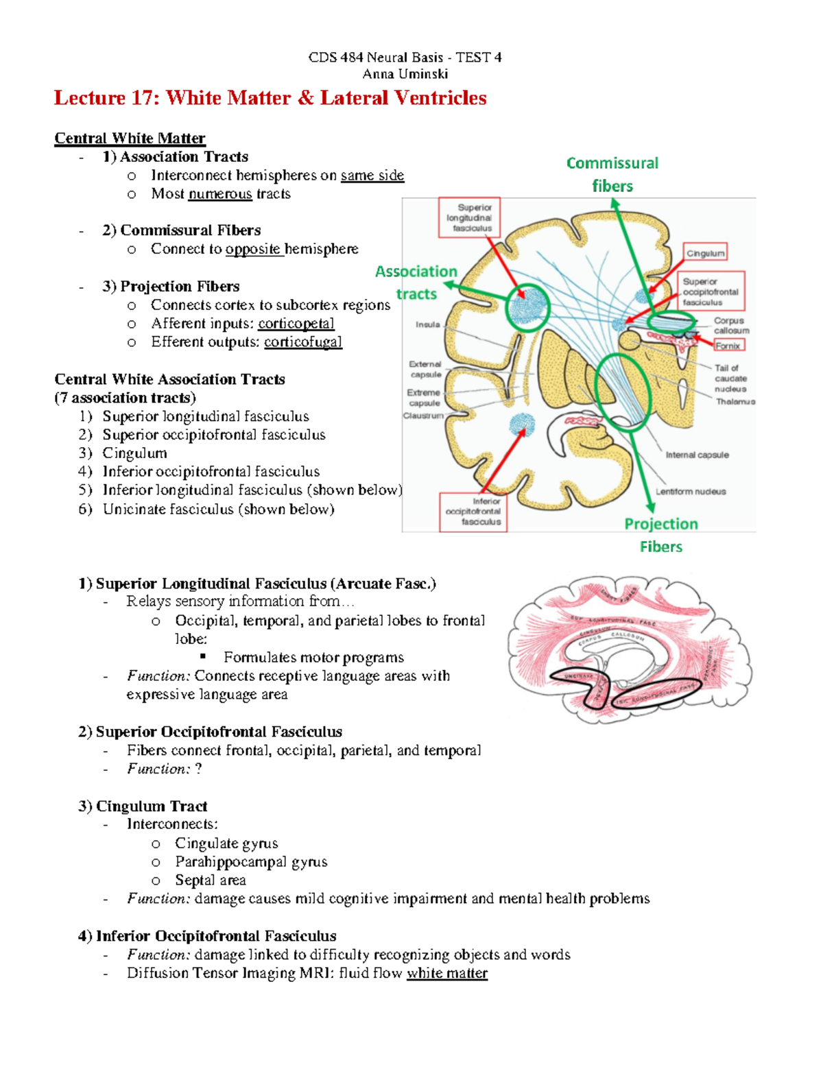 TEST 4 Guide - Anna Uminski Lecture 17: White Matter & Lateral ...