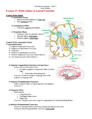 4 phases of swallowing - Oral preparatory phase- voluntary FUNCTION ...