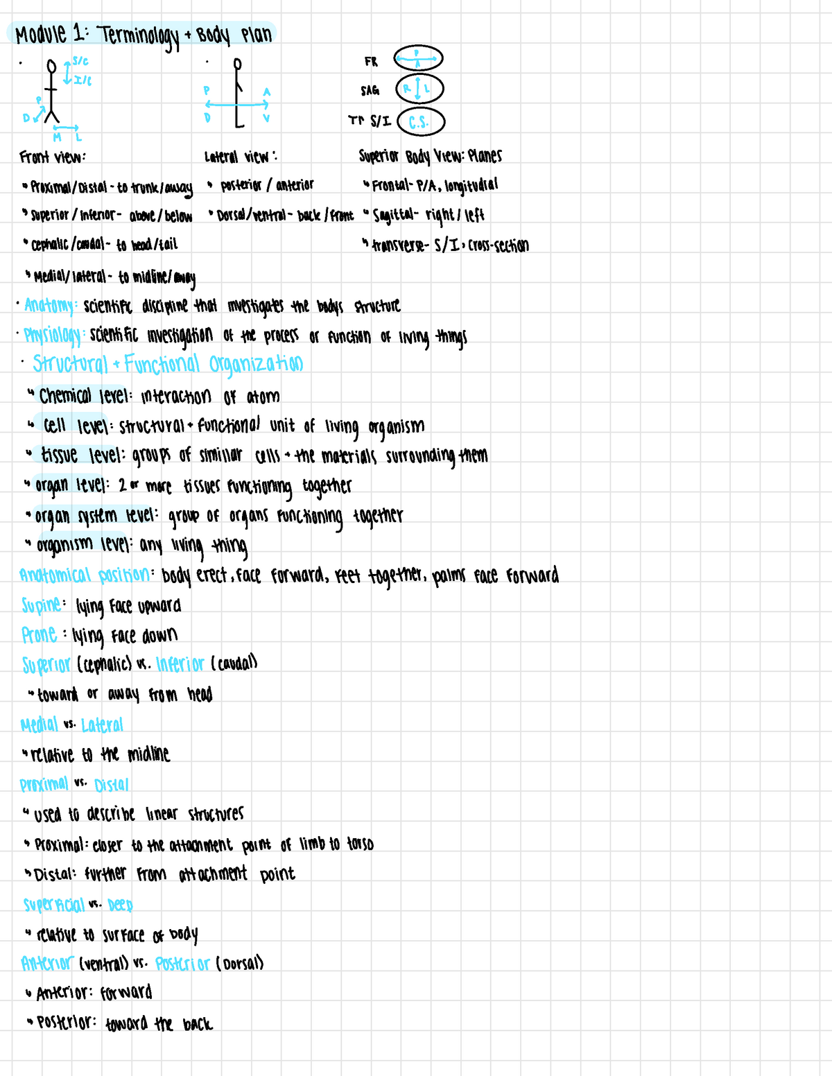 Test 1 Cheat Sheets Kin 2Y03 - Module 1 : Ter Sinology Body Plan 0 A ...