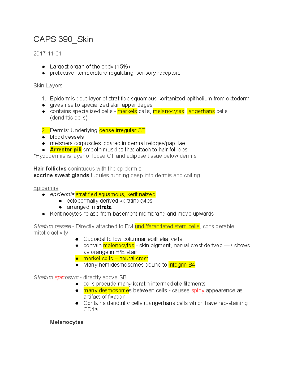 Skin - Lecture notes - CAPS 390_Skin Largest organ of the body ...