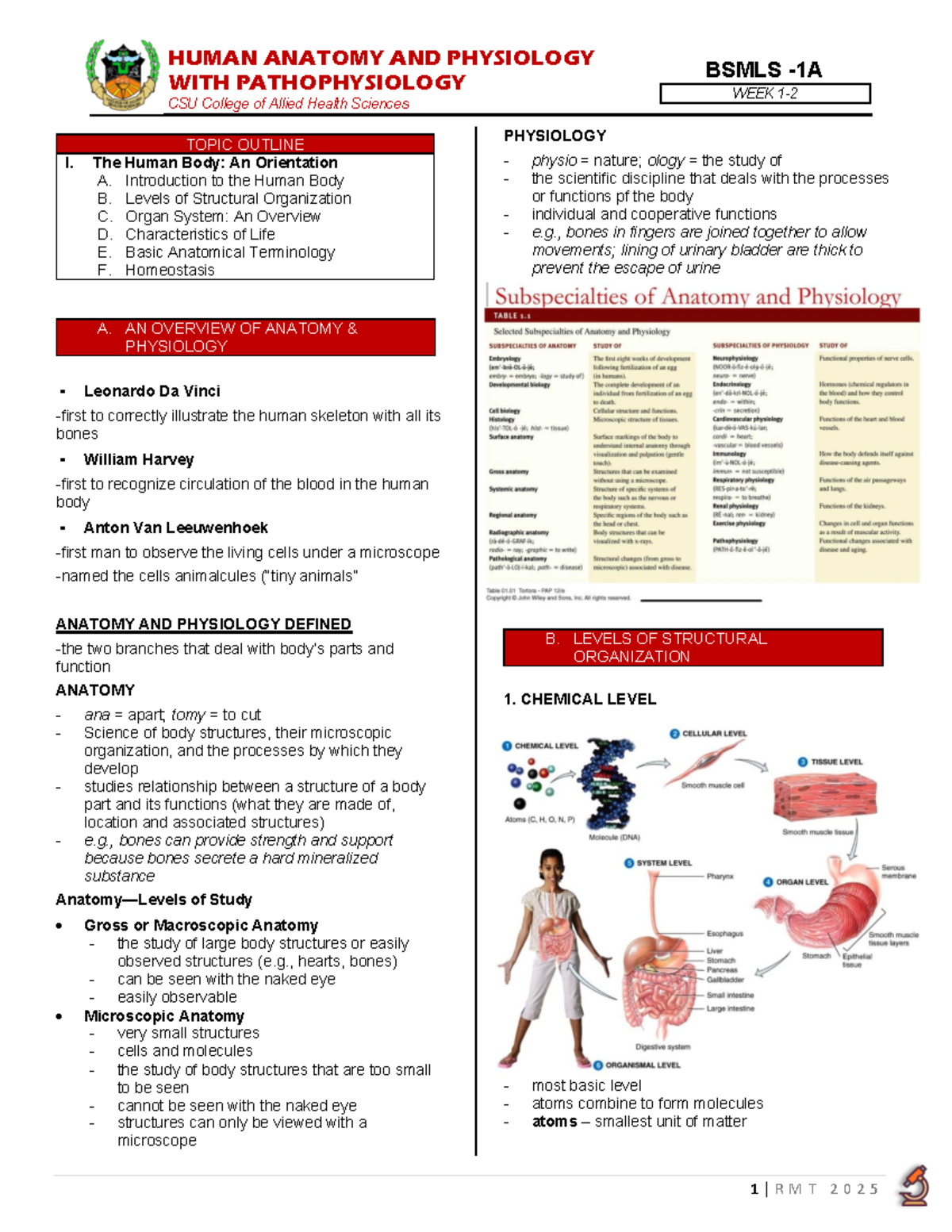 UNIT 1.1 ( Intro TO THE Human BODY) Anaphy - WITH PATHOPHYSIOLOGY WEEK ...