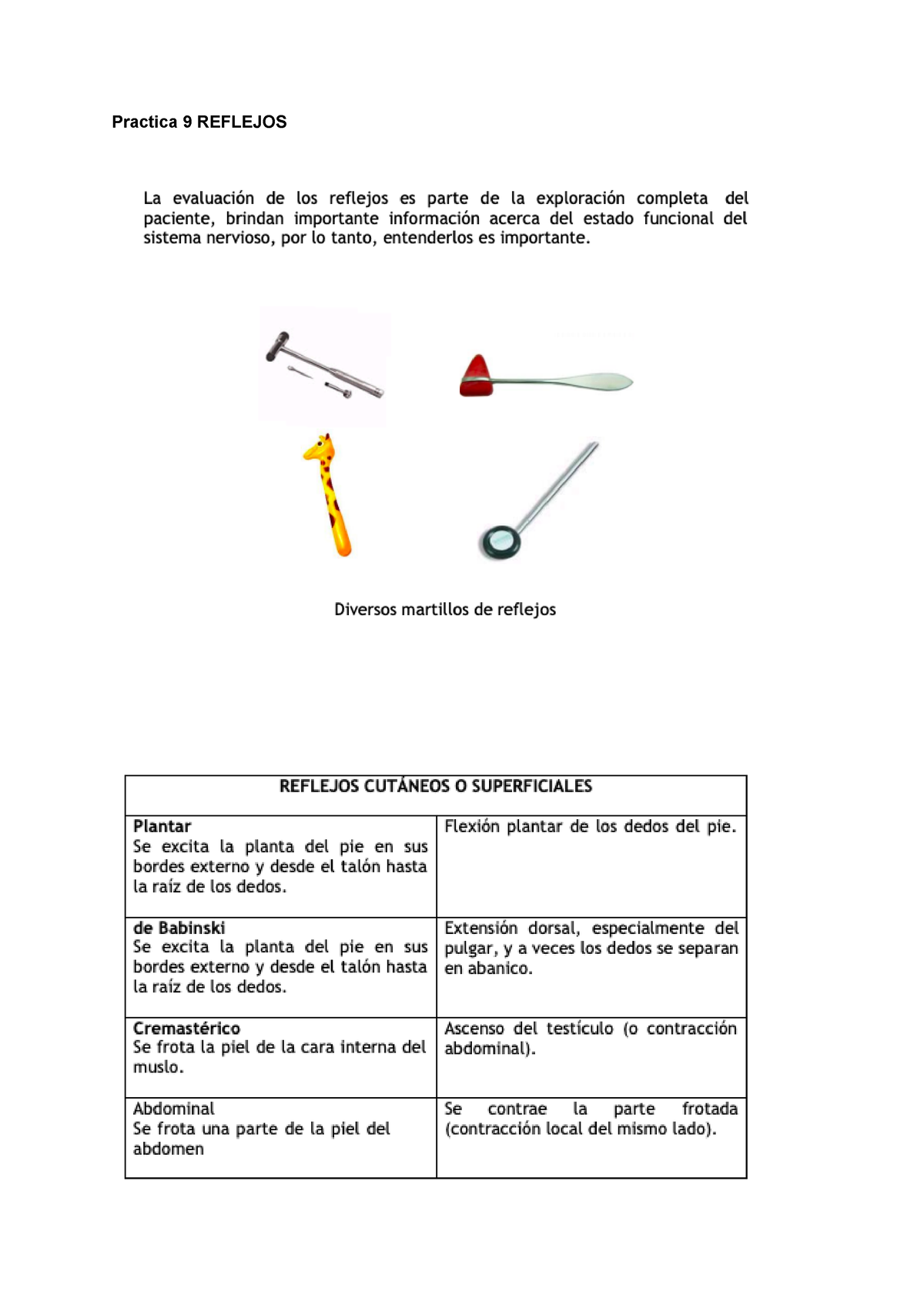 Practica 9 Lab Fisio 2 - Laboratorio De Fisiología II - Practica 9 ...