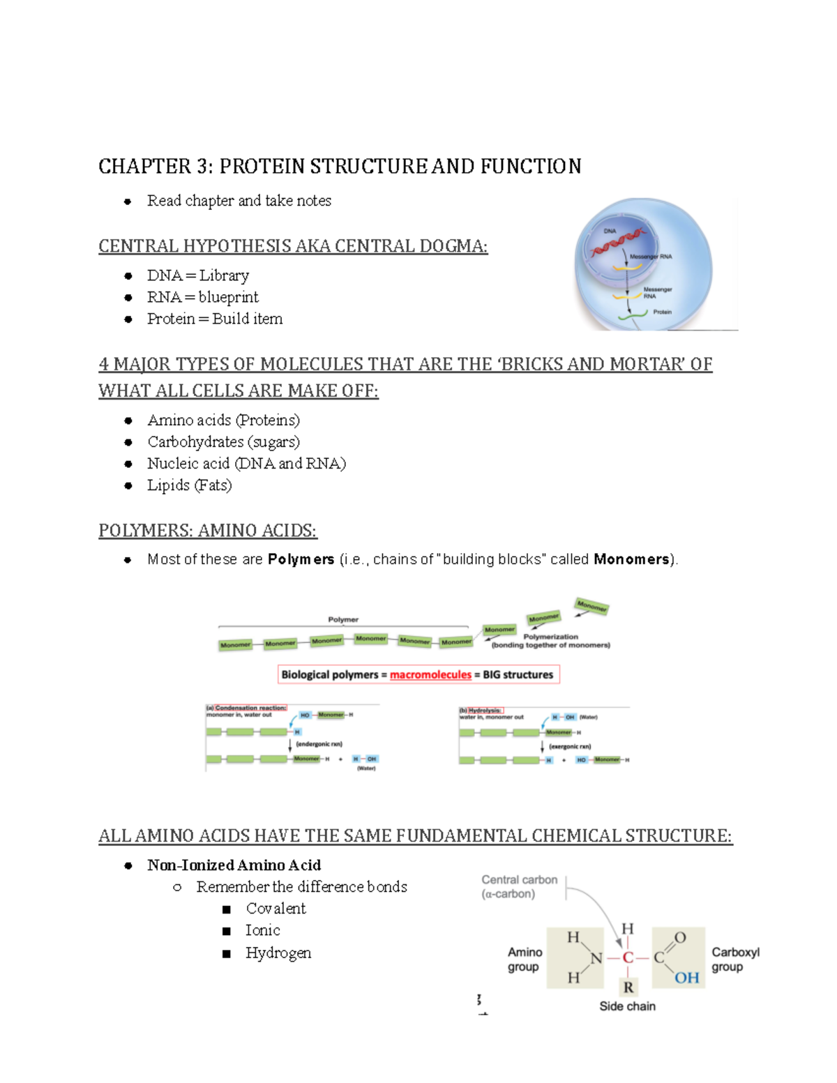 Chapter 3 Notes - Studocu