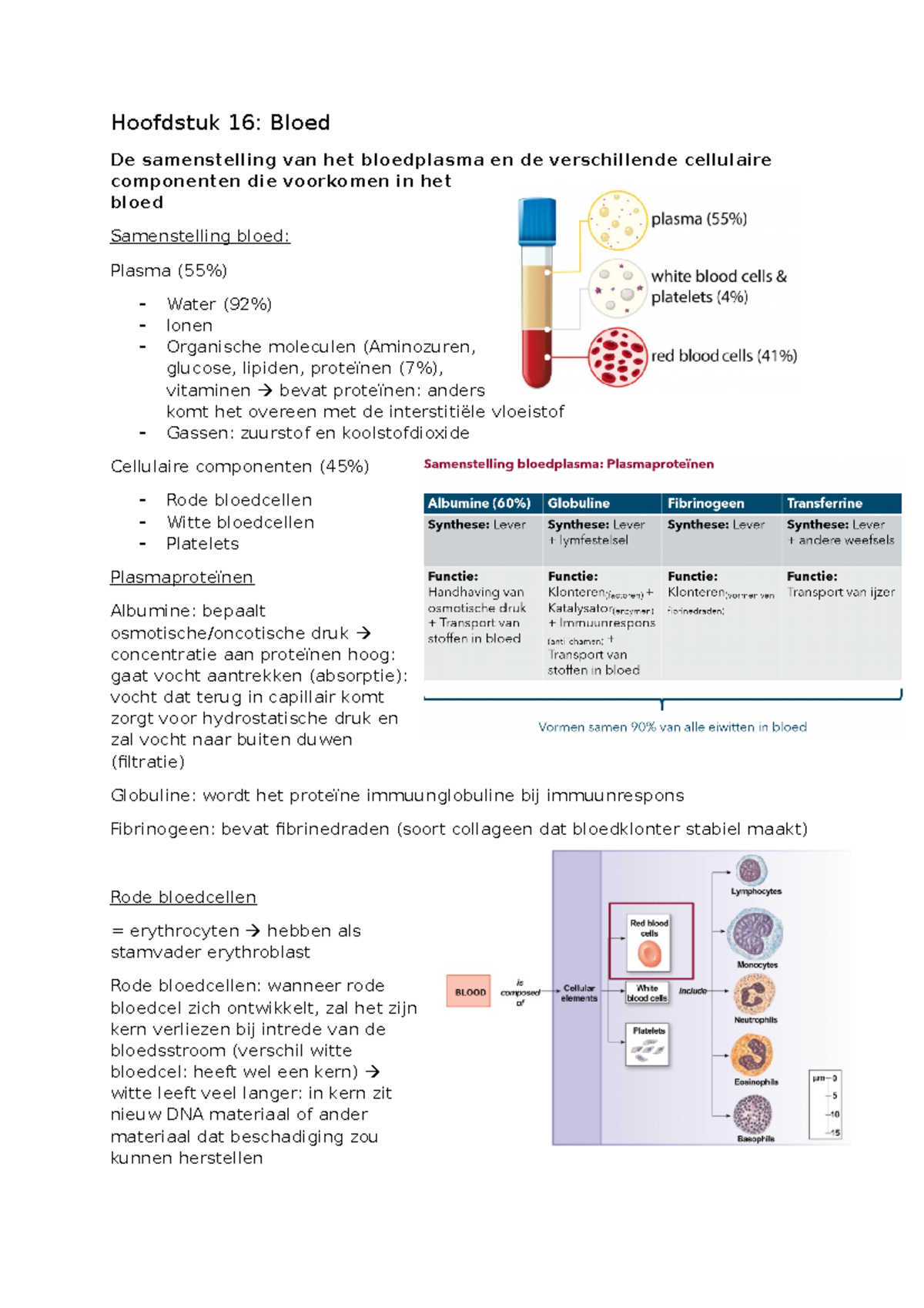 Samenvatting Bloed - Hoofdstuk 16: Bloed De Samenstelling Van Het ...