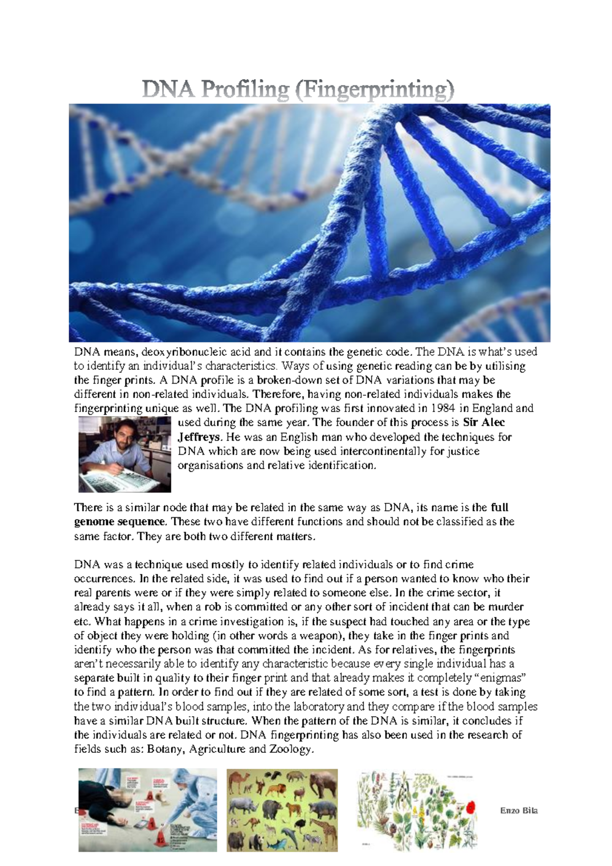 DNA Genetic Profiling - Research paper - DNA means, deoxyribonucleic ...