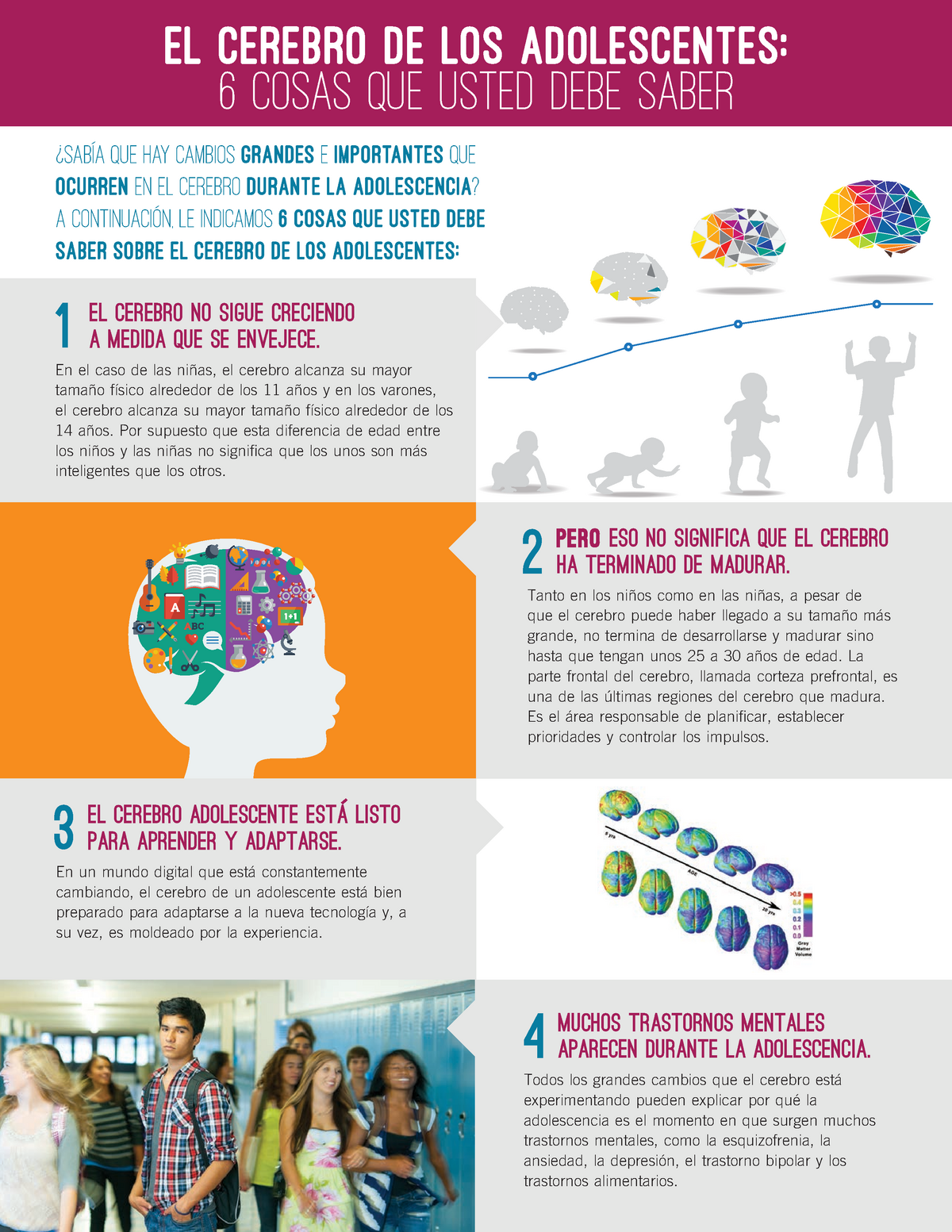 Infografía El Cerebro Adolescente El Cerebro De Los Adolescentes 6 Cosas Que Usted Debe Saber
